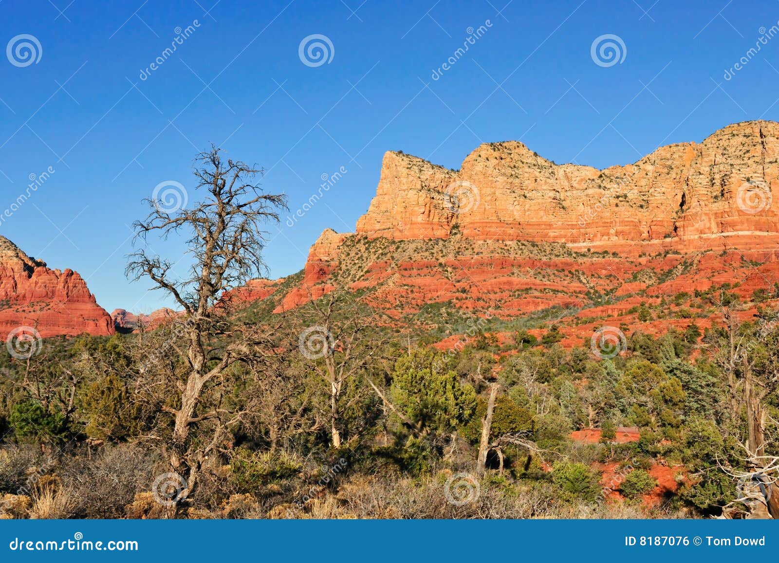 Mesa Rock Formations Arizona Stock Photo Image of landscape, geologic