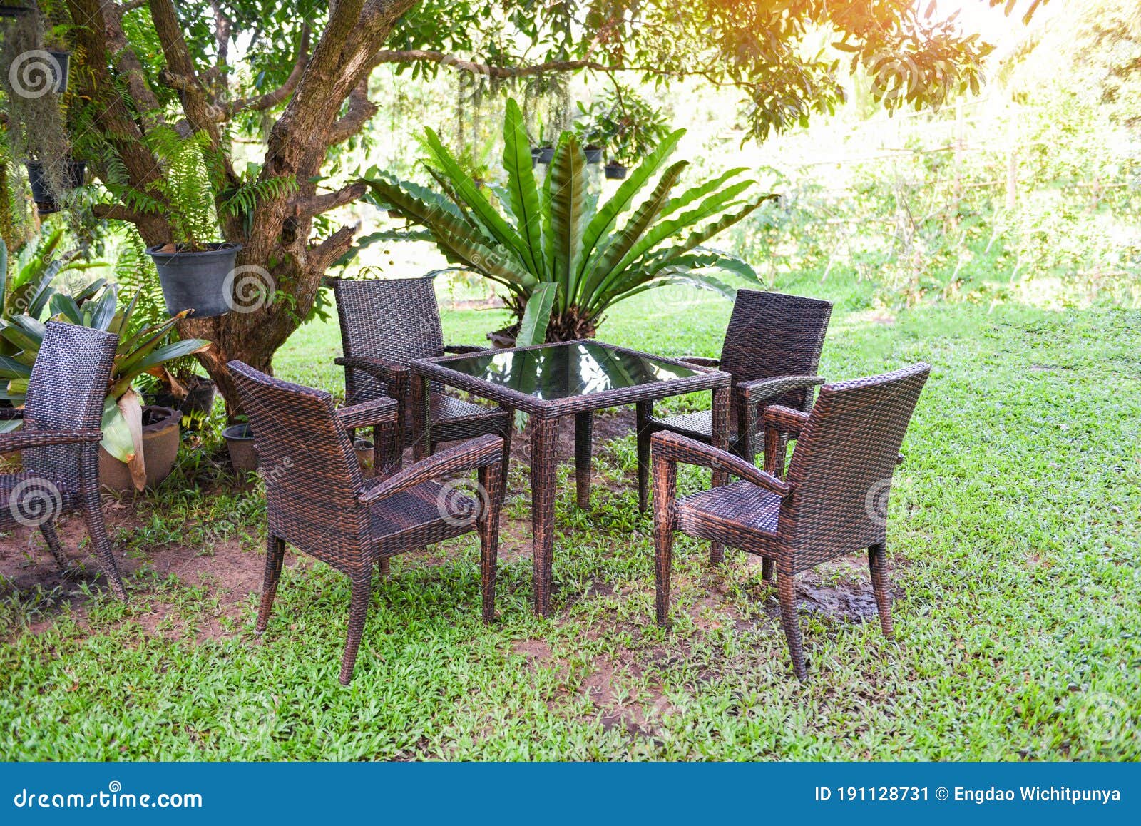 Mesa Y Sillas En El Jardín Bajo El árbol Conjunto De Verano De Mesa Silla  De Exterior Naturaleza Fondo Verde Imagen de archivo - Imagen de planta,  hermoso: 191128731