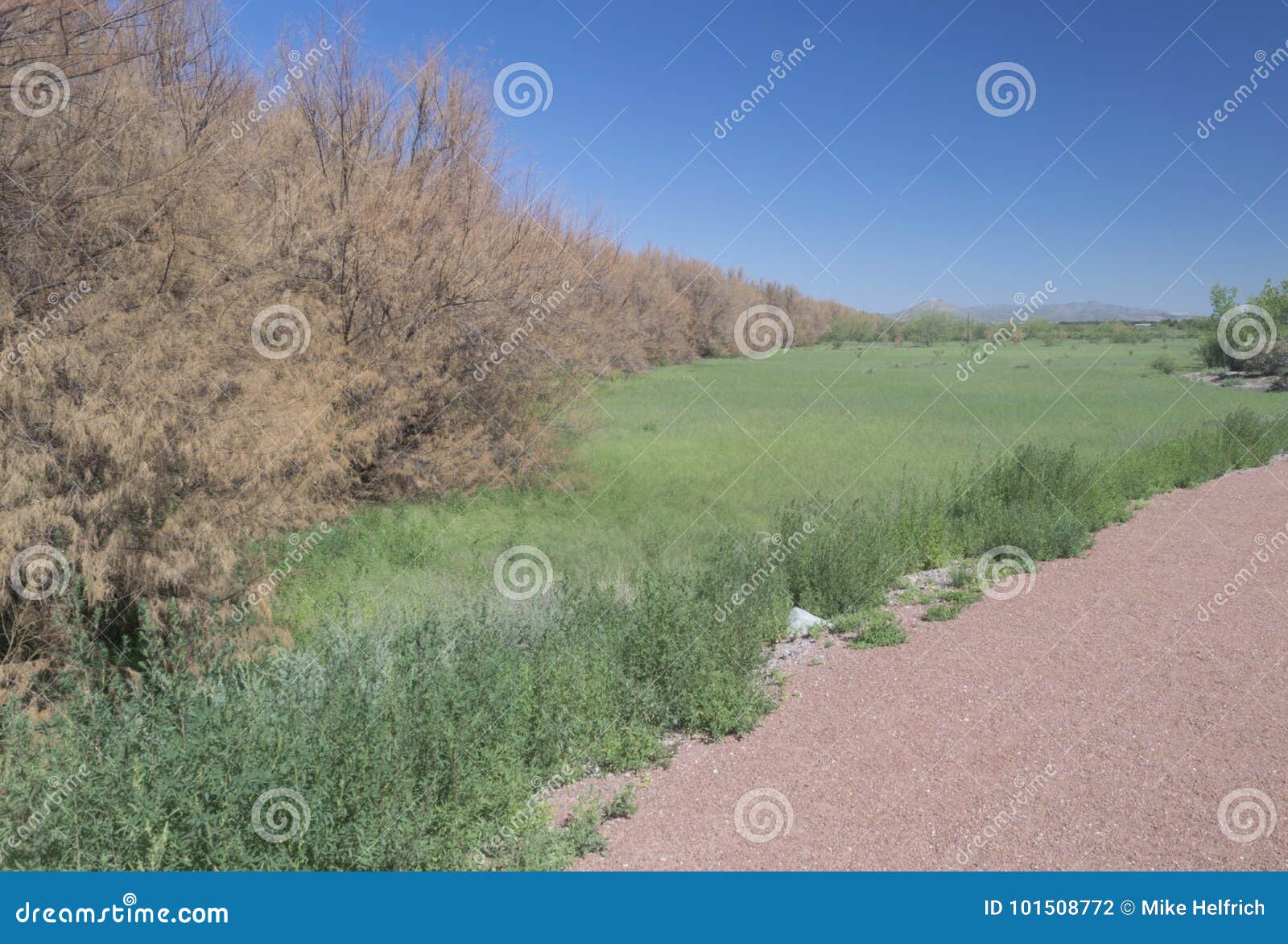 mesilla bosque northern view.