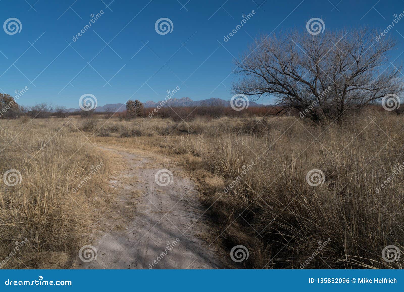 mesilla valley bosque park,organ mountain view