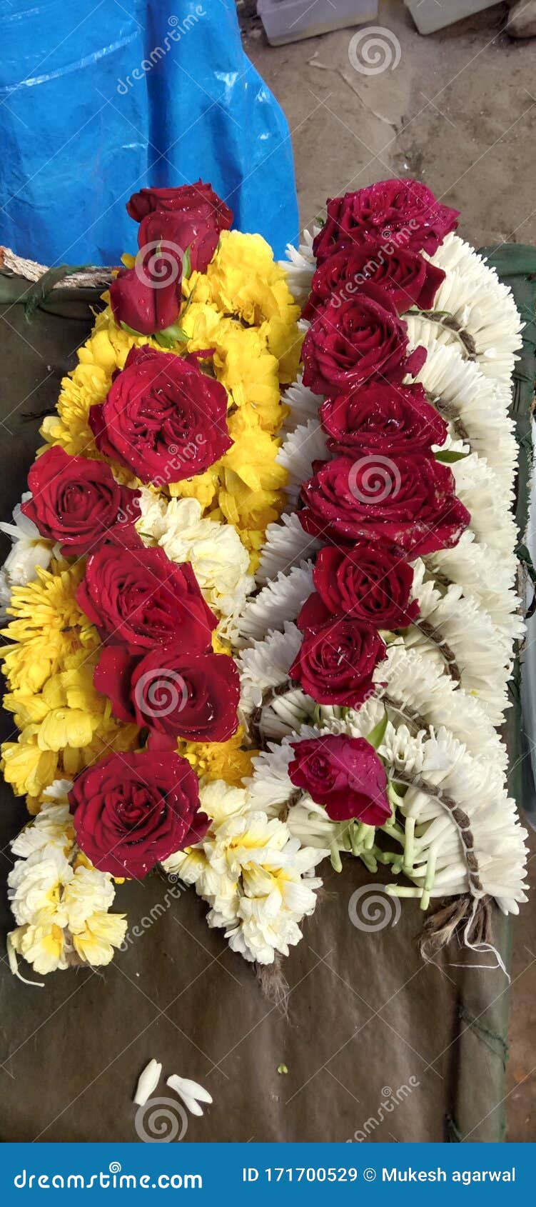 Mesmerizing Red Roses with Beautiful White and Yellow Coloured Flowers