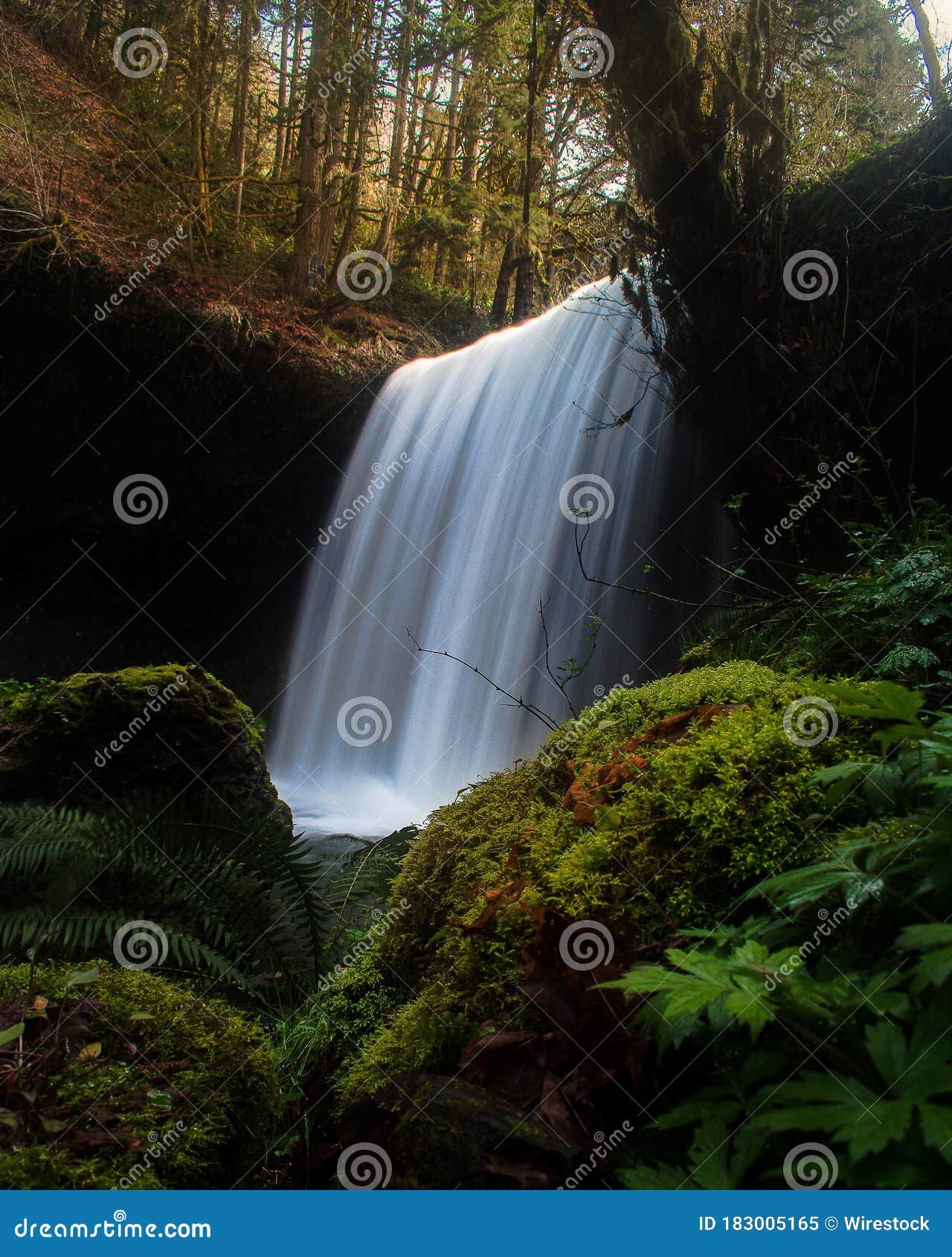 Mesmerizing View of a Beautiful Waterfall on the Washington Oregon