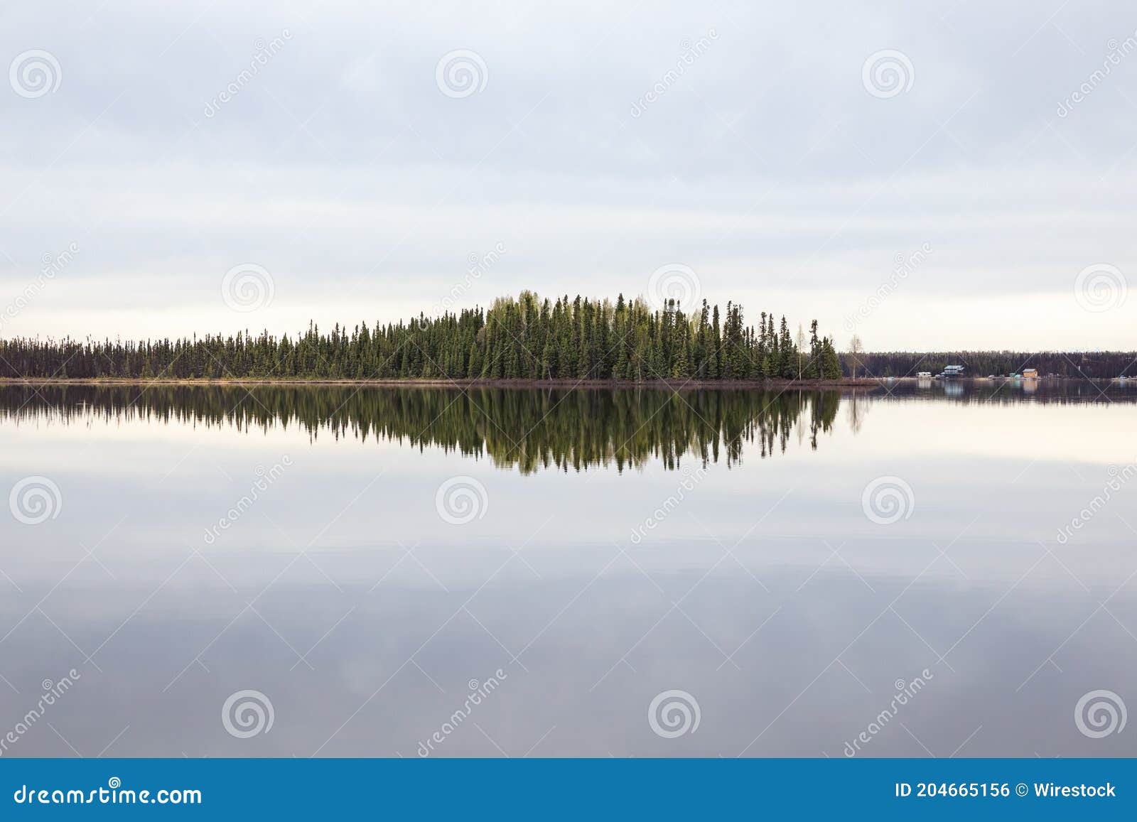 Mesmerizing View of Kashwitna Lake with a Reflection of Trees during