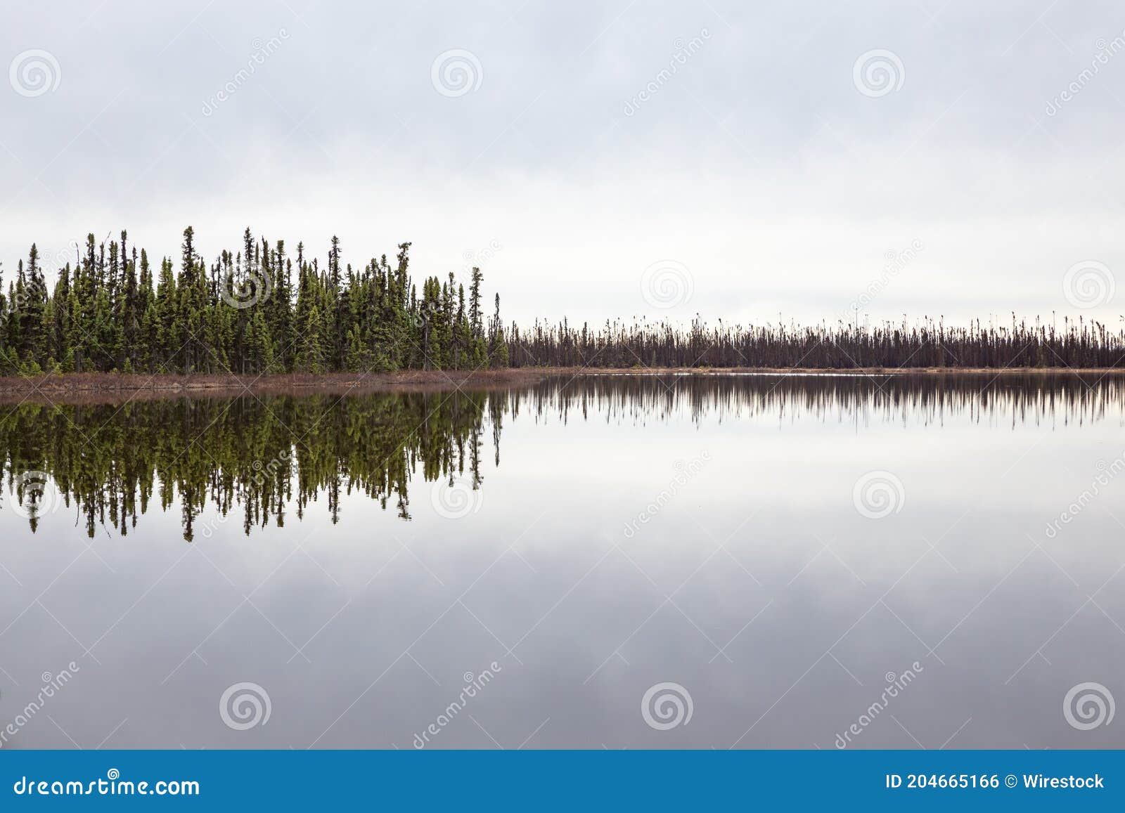 Mesmerizing View of Kashwitna Lake with a Reflection of Trees during