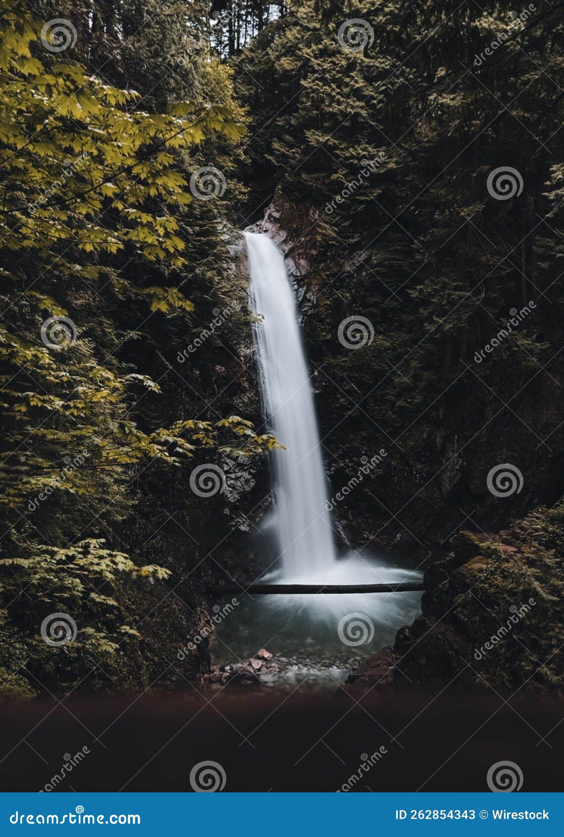 a waterfall in a dense green forest on a sunny day, the concept of tranquillity