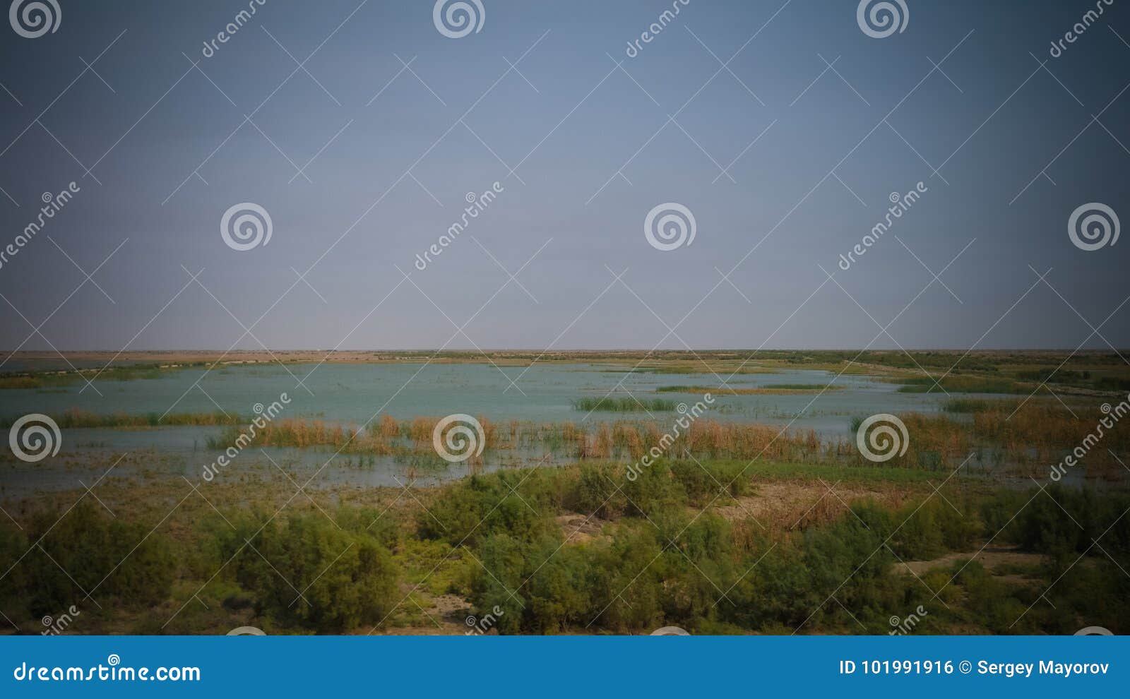 mesopotamian marshes, habitat of marsh arabs aka madans basra iraq