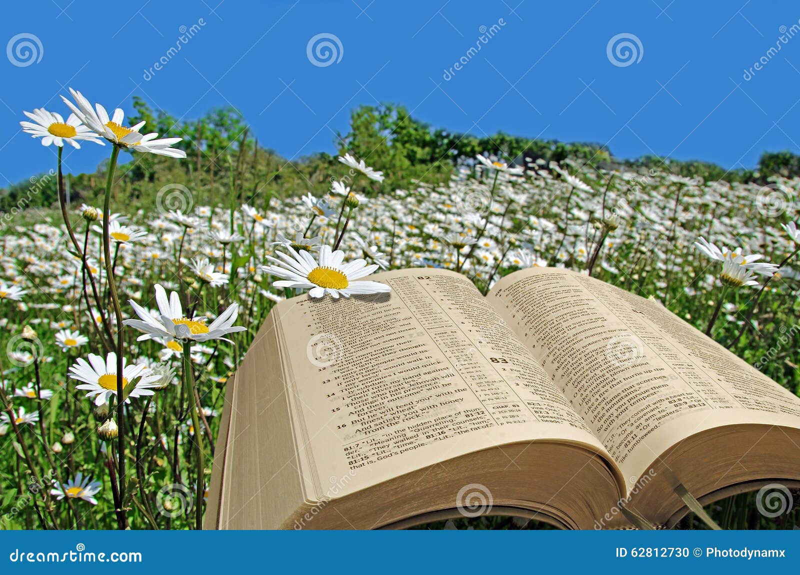 Message De Bible D'espoir Et De Paix Photo stock Image du
