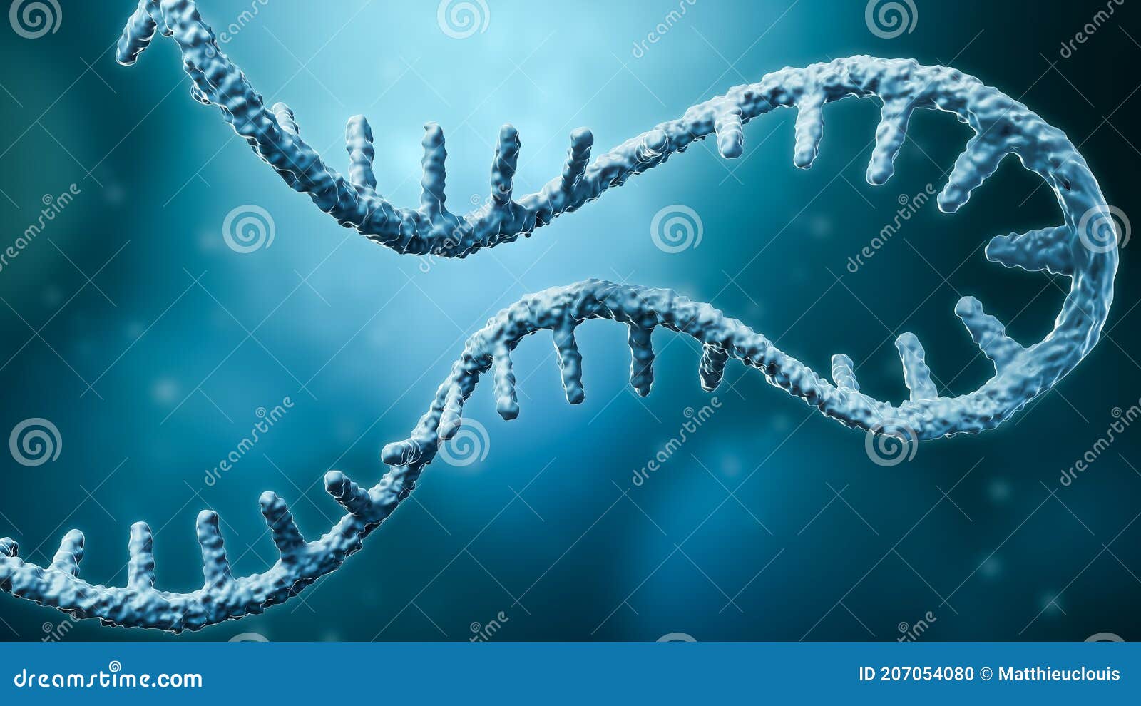 messenger rna or mrna strand 3d rendering  with copy space. genetics, science, medical research, genome replication