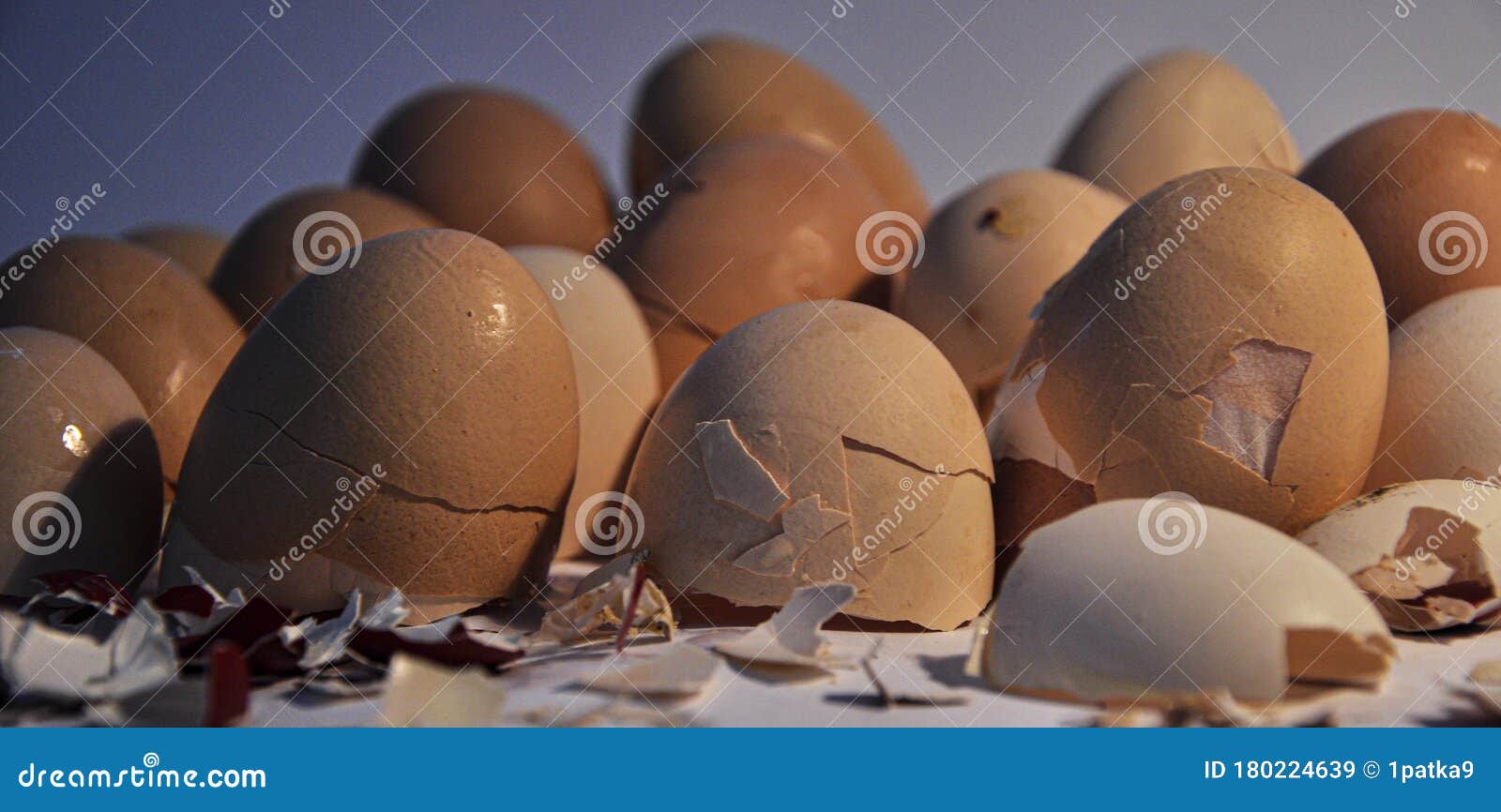 messy clean crushed egg shells