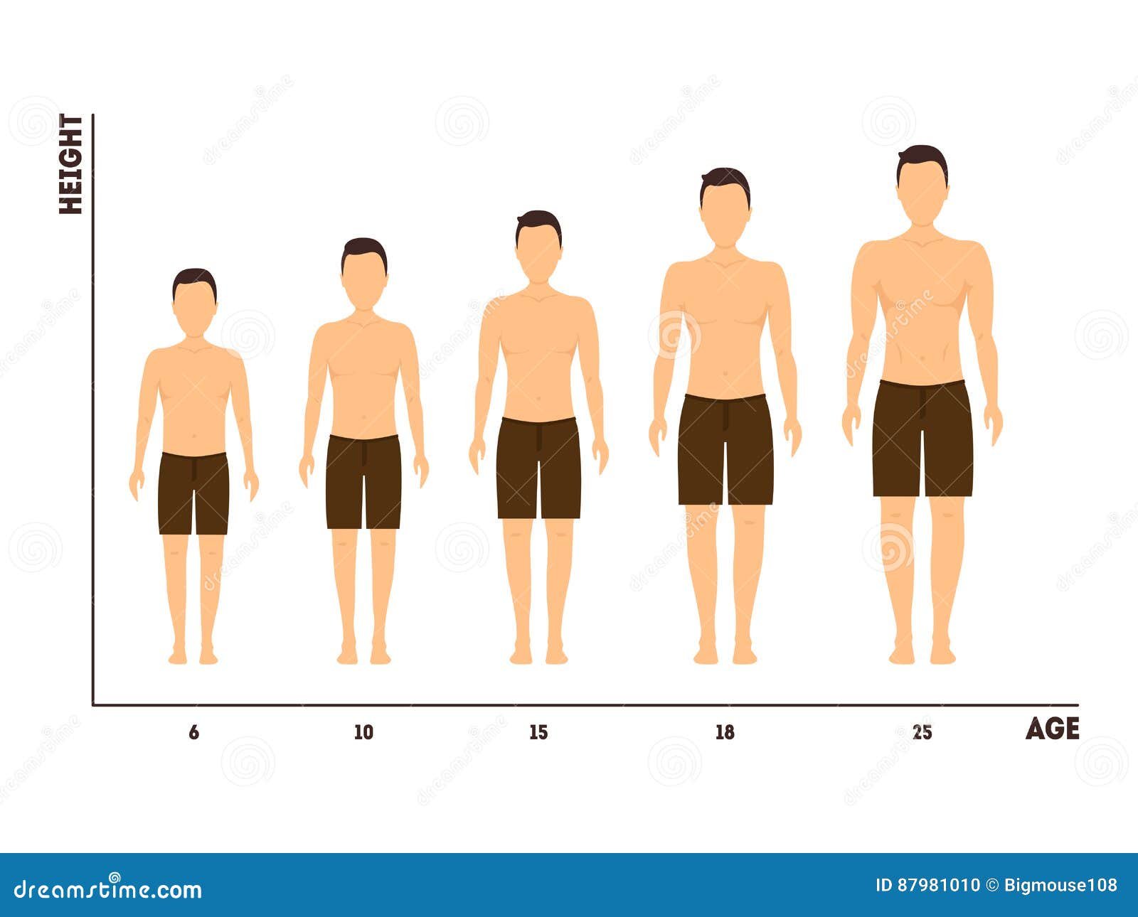 La Taille Moyenne D Un Homme Mesure De Taille Et D'âge De Croissance De Garçon à L'homme Vecteur