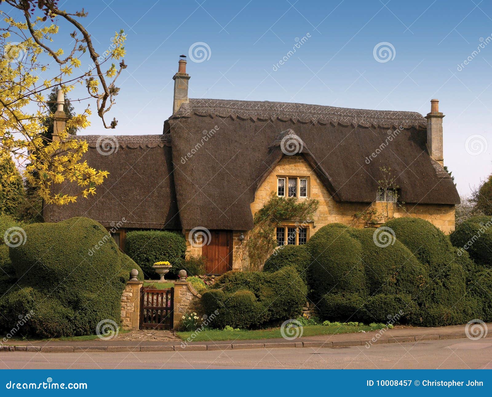 met stro bedekt huis 10008457