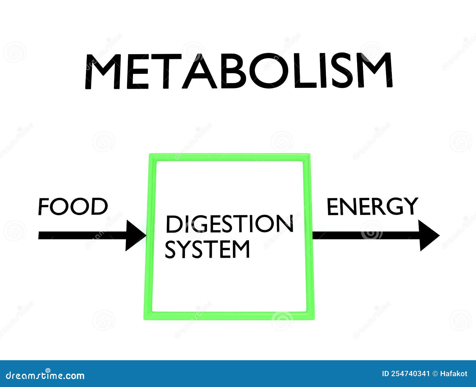 Metabolism Biology understanding-metabolism-definition-types-and-process-testbook