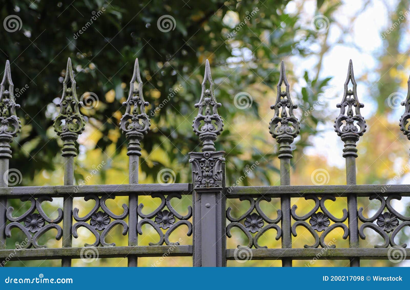 Metal Curly Fence in the Park Stock Photo - Image of tree, green: 200217098