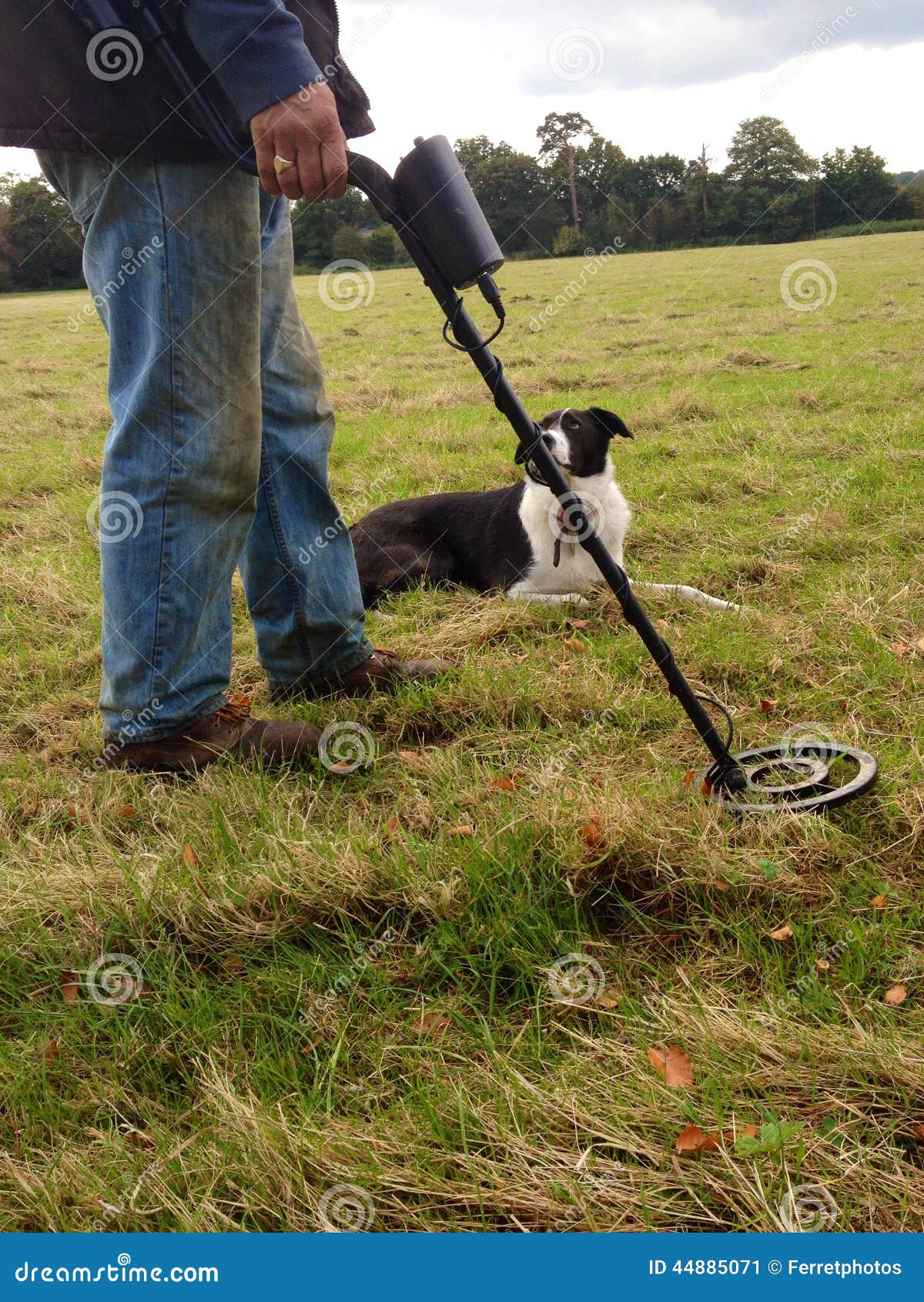 Metal detecting stock image. Image of metal, detecting 44885071