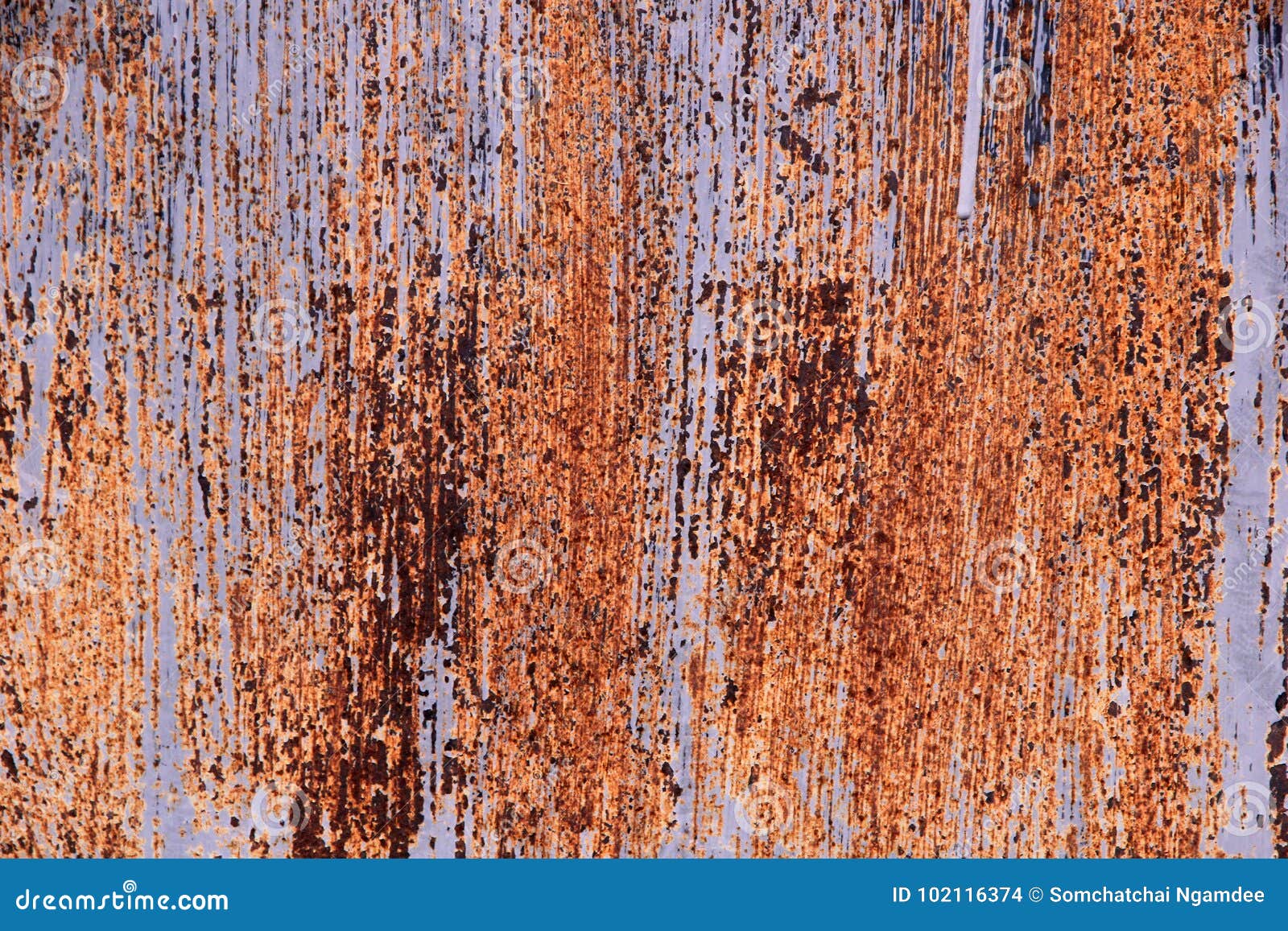 Metal door in rust stock photo. Image of orange, rust 102116374