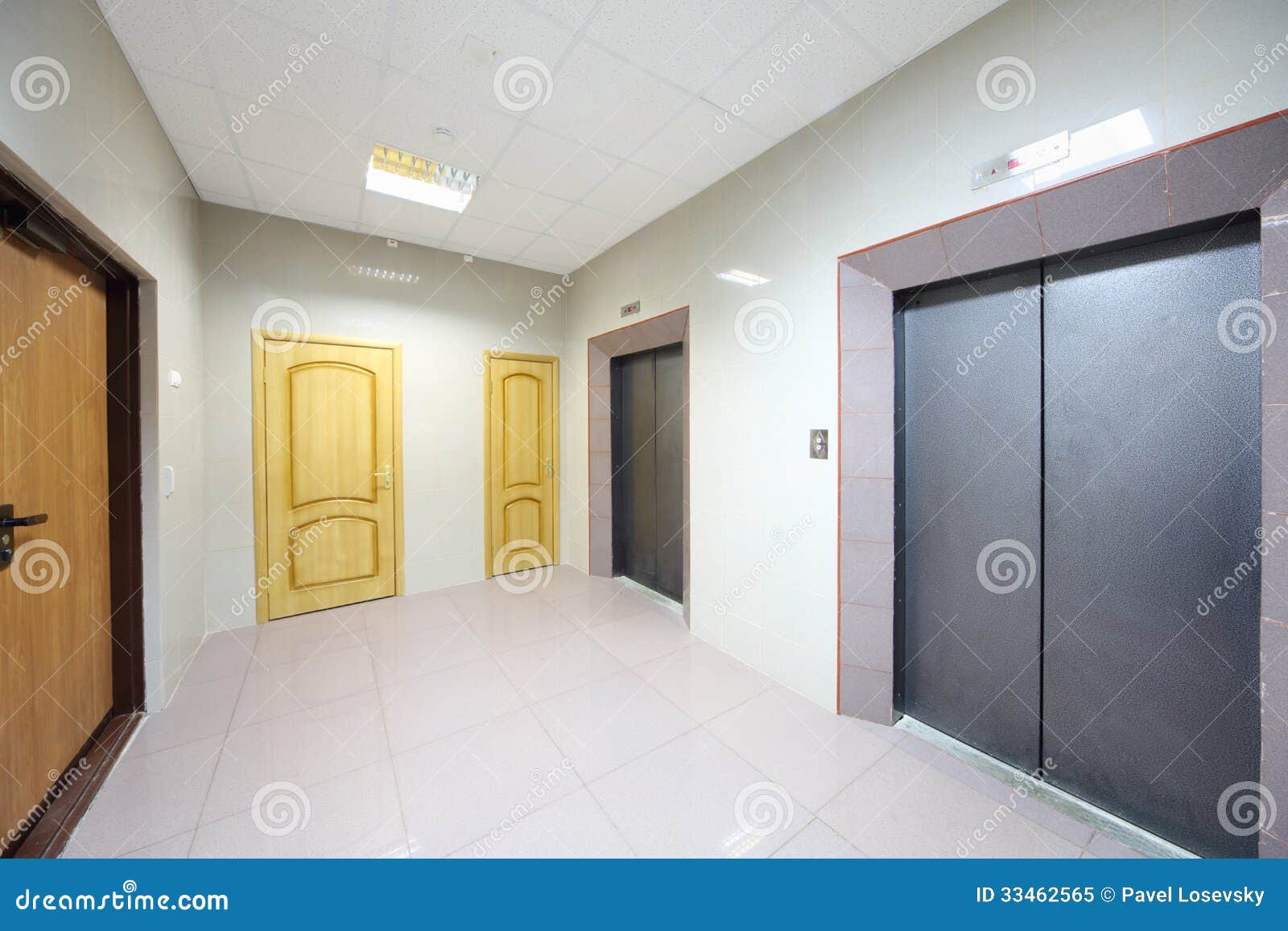 Metal Doors To Elevators and Offices Stock Image Image of choice