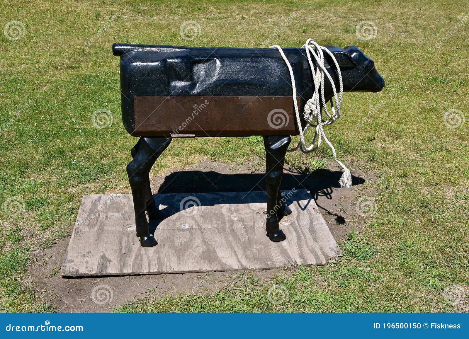 mechanical beef cow for cowhands to practicing using a lariat