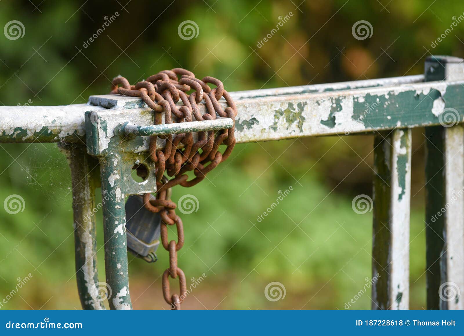 Metal Gate Closed Outside with a Padlock and Chain Stock Photo Image