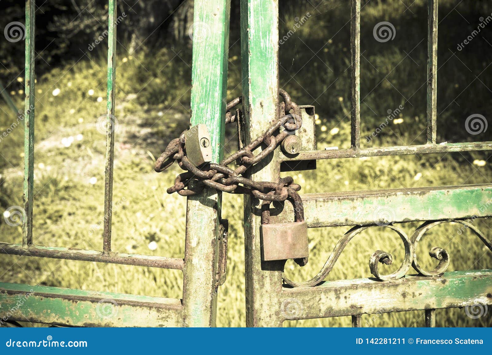 Metal Gate Closed with Padlock Stock Image - Image of safety, locked ...