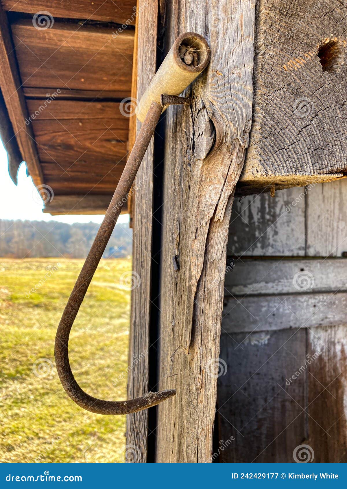 A Metal Hay Hook Hangs from Grandpa S Old Shed Stock Image - Image