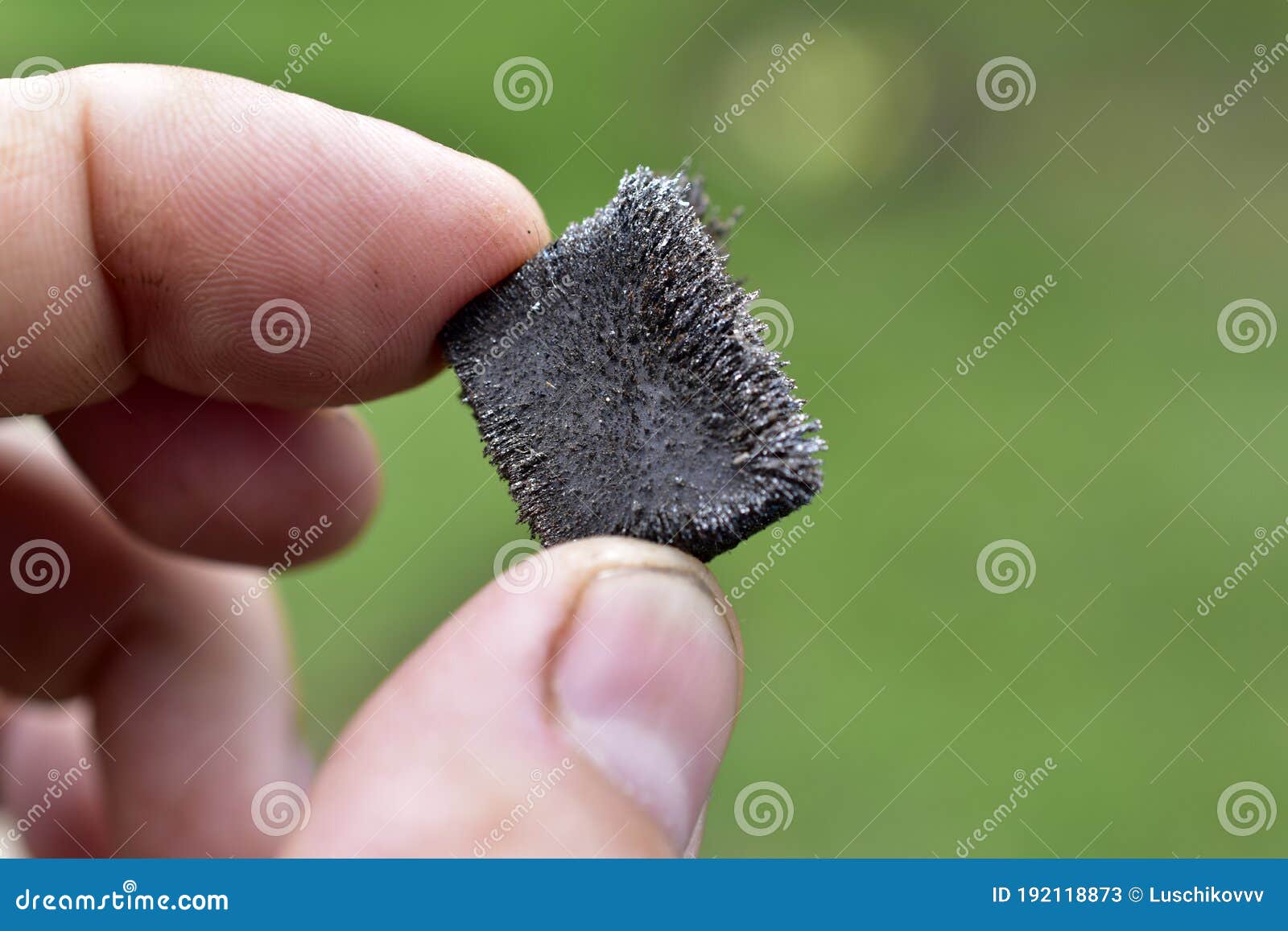 Metal in the Iron Crumb in the Hands Stock Image Image of
