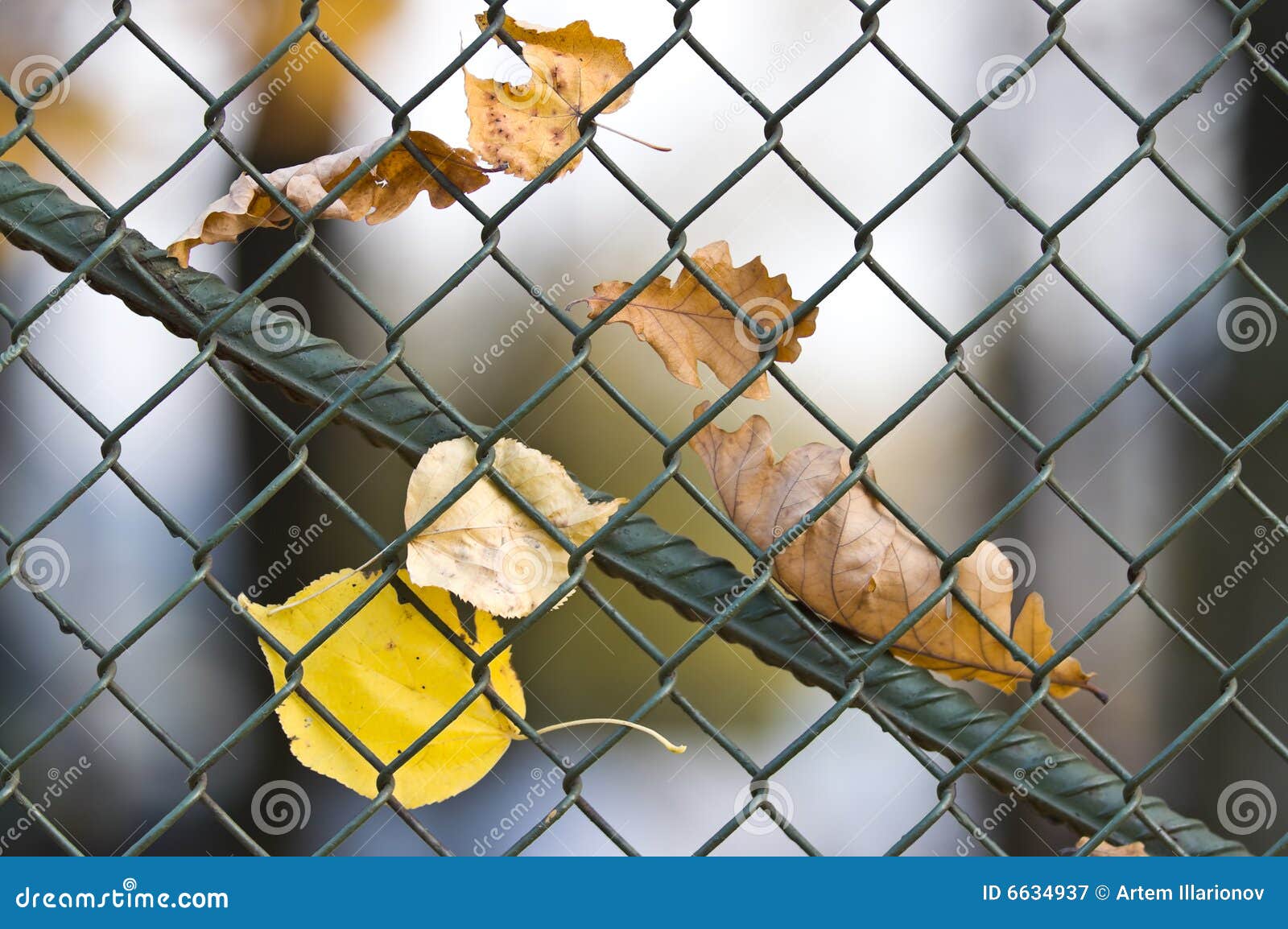 Metal net fence stock image. Image of gauze, fence, metal - 6634937
