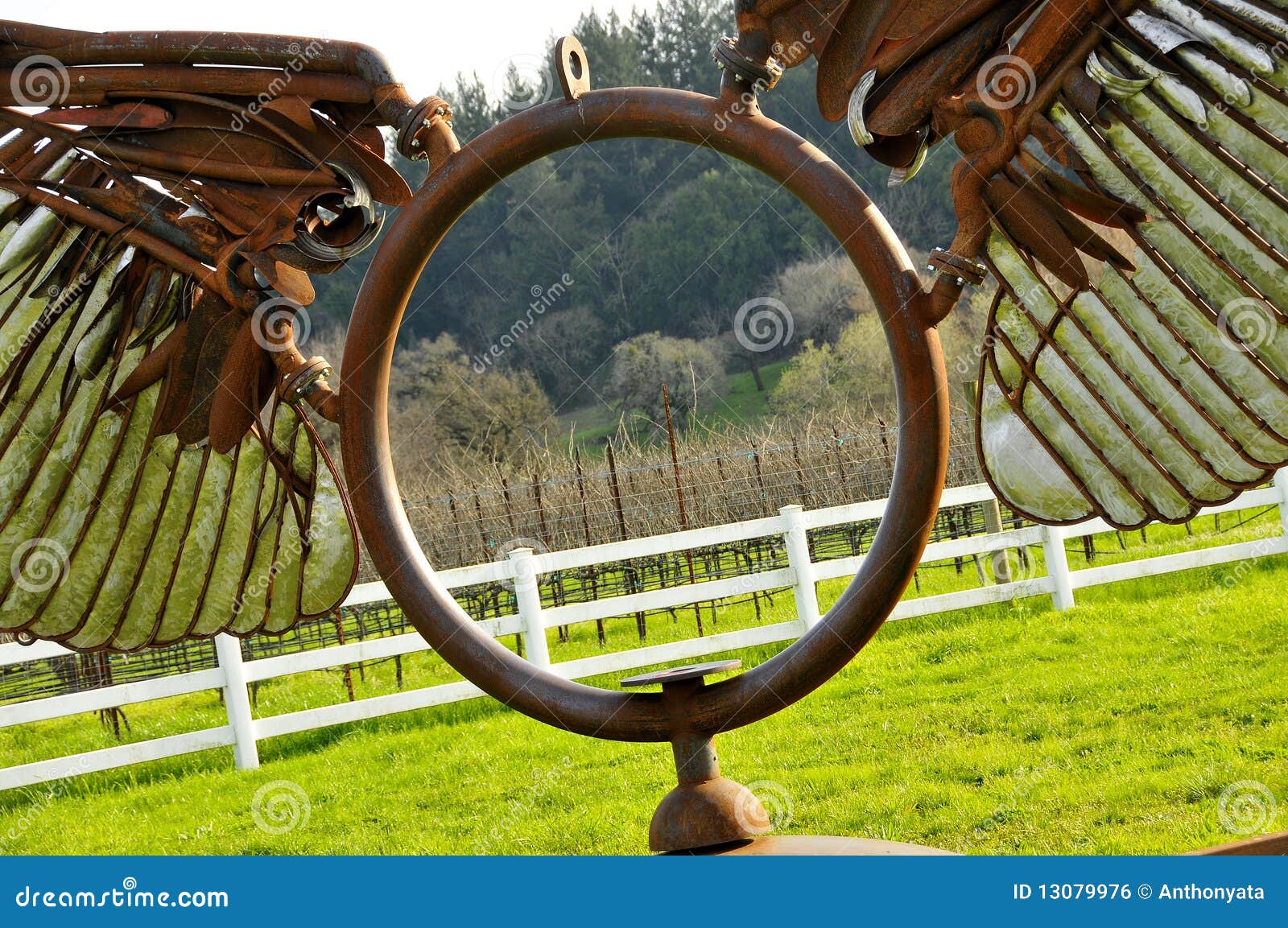 Metal Sculpture in Vineyard Stock Photo Image of rolling, sierra