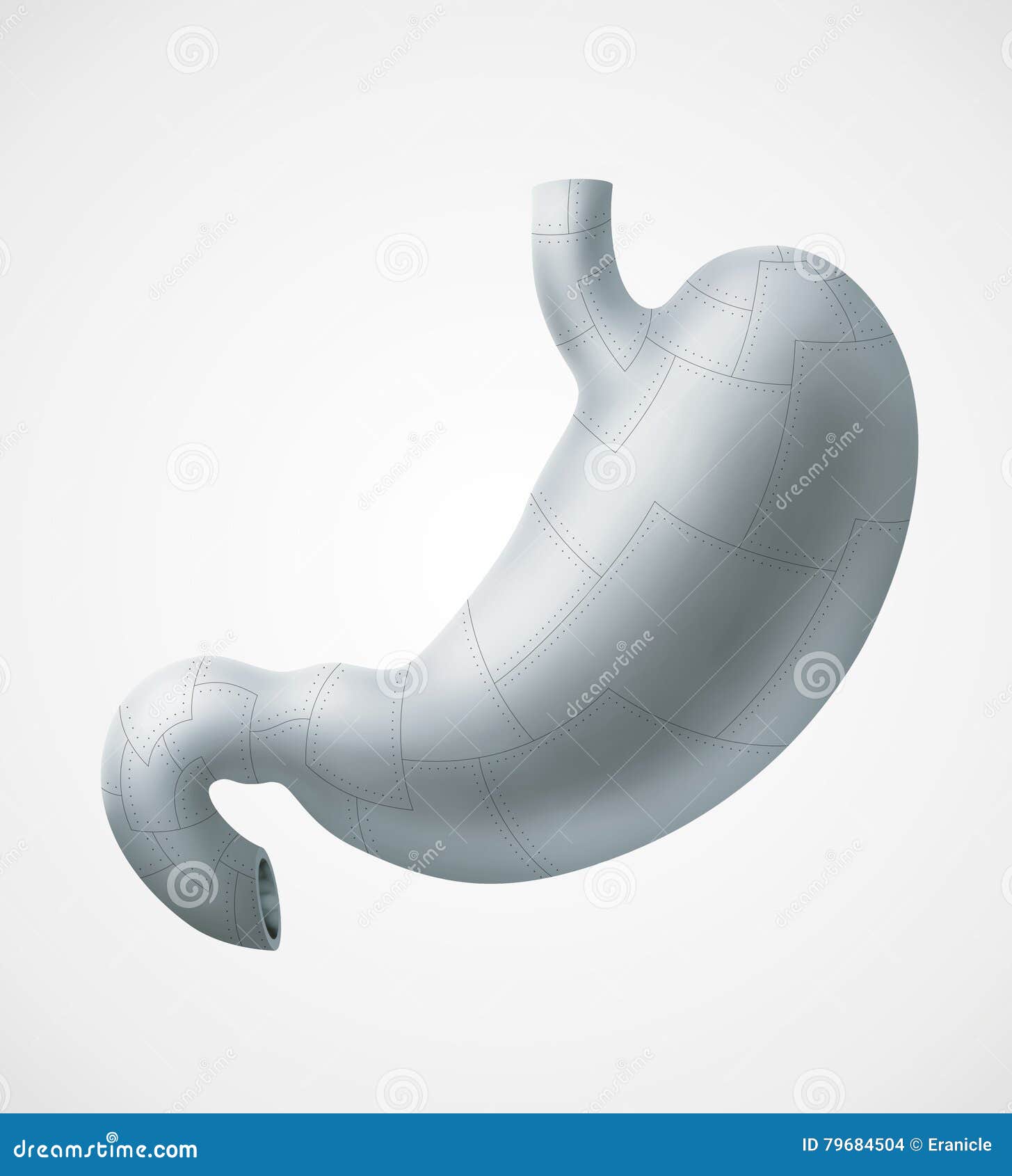 Metal stomach stock illustration. Illustration of biology 79684504