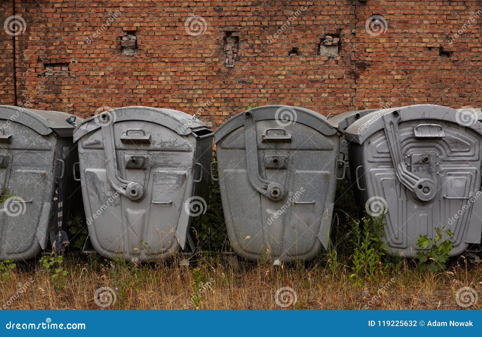 Metal trash containers. stock photo. Image of plant 119225632