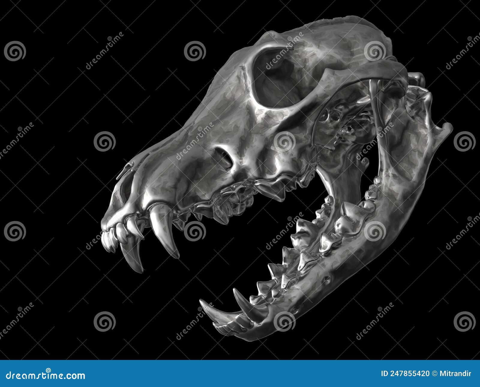 Metal Wolf Skull With Open Jaws Stock Illustration Illustration Of