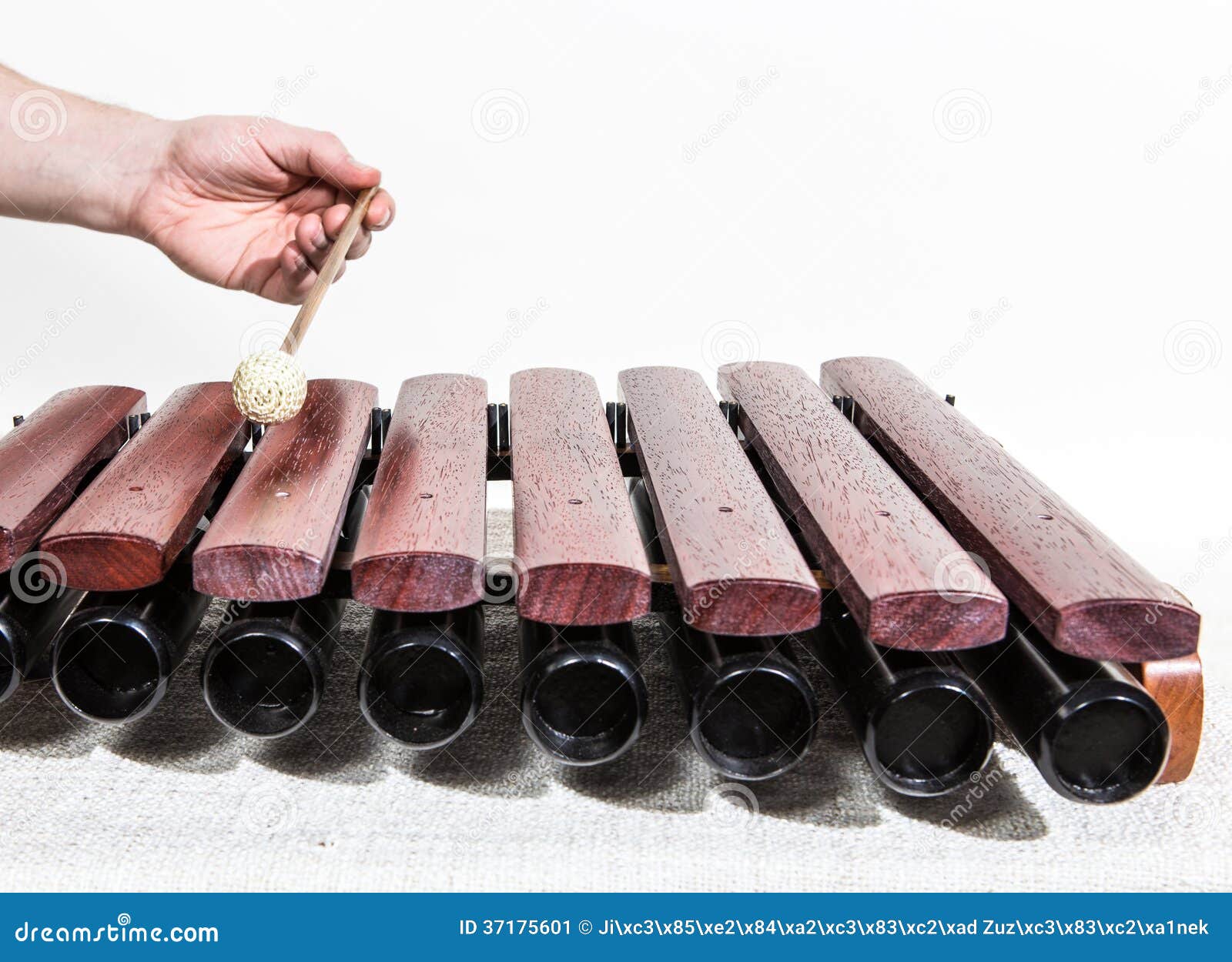 Metallophones stock image. Image of people, musician 37175601