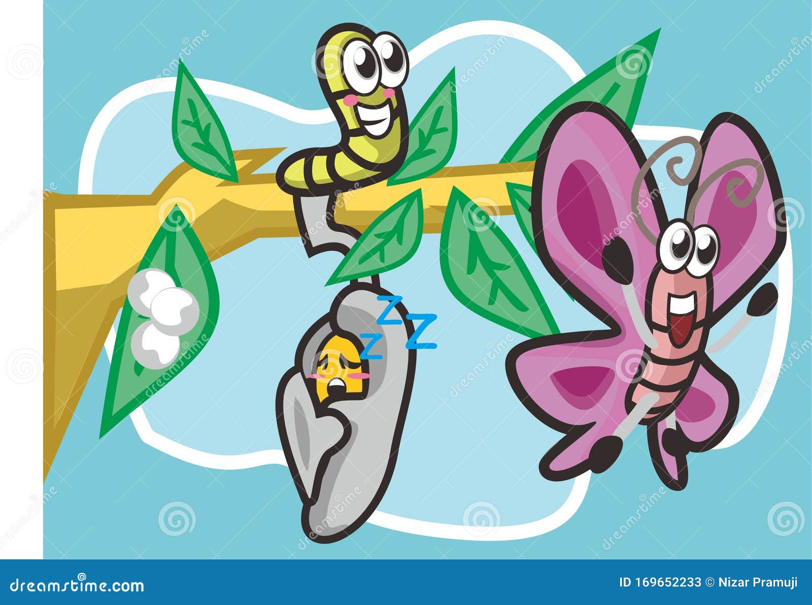 The Metamorphosis of the Butterfly. Eggs, Caterpillar, Pupa, Butterfly.  Metamorphosis. Educational Biology for Kids Stock Vector - Illustration of  metamorphosis, butterfly: 169652233