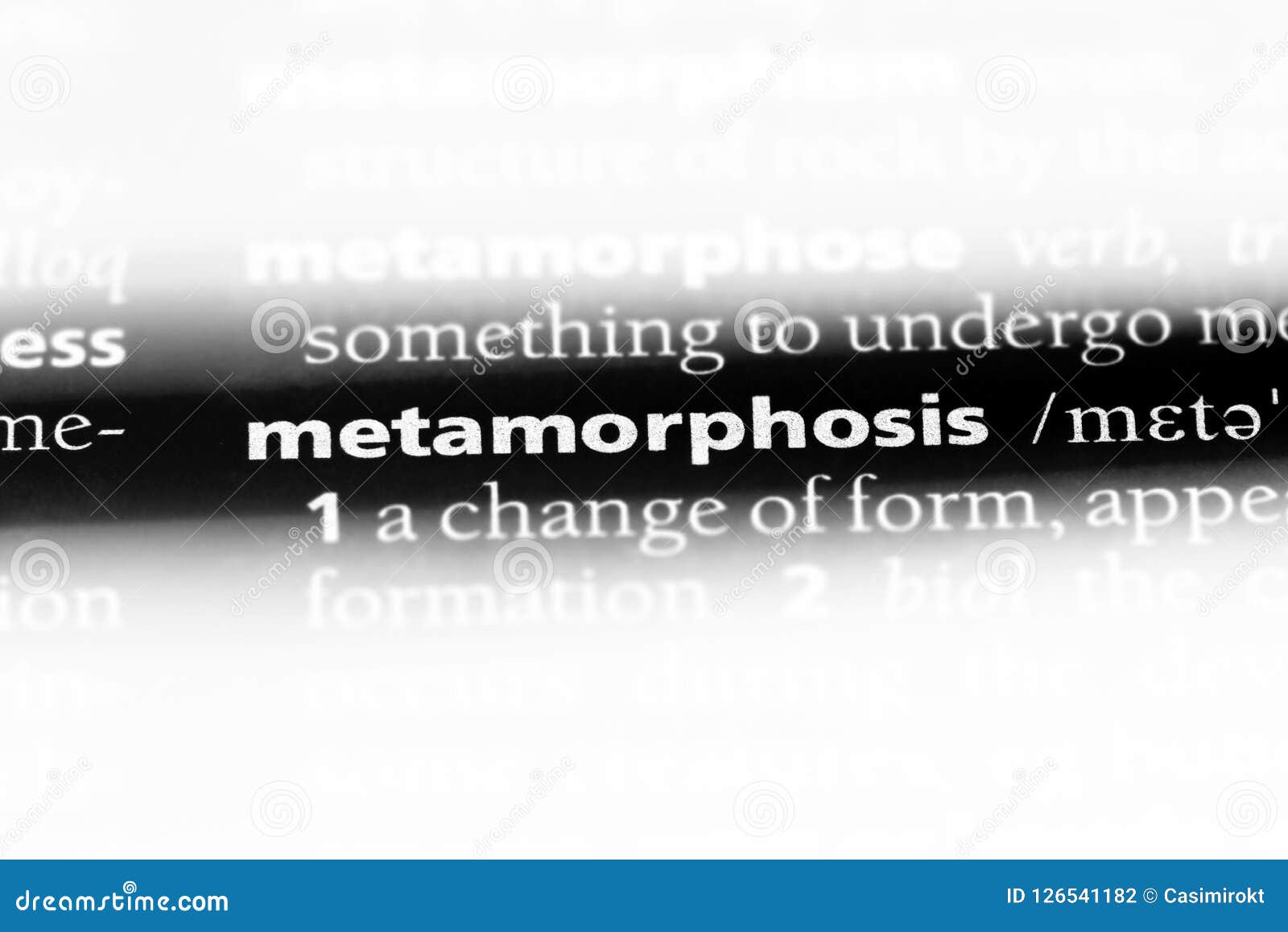 English research paper the metamorphosis