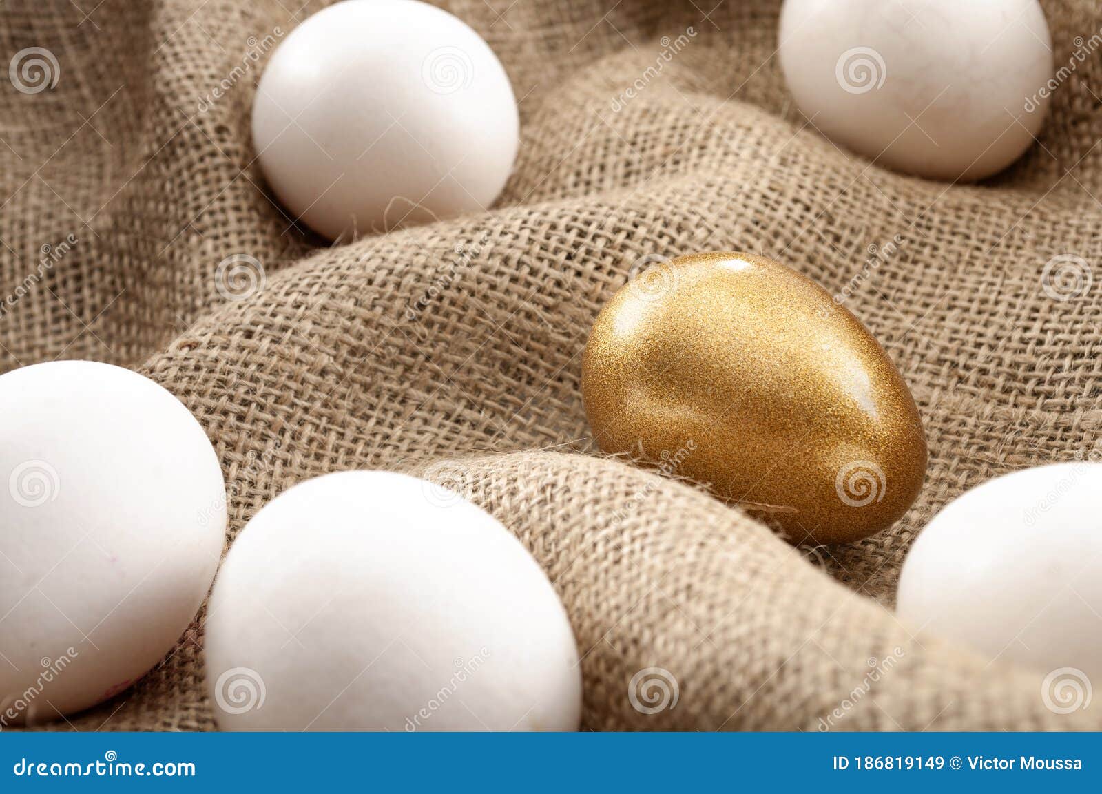 metaphors for successful leadership and retirement investment concept with white eggs and one single gold egg on burlap sack