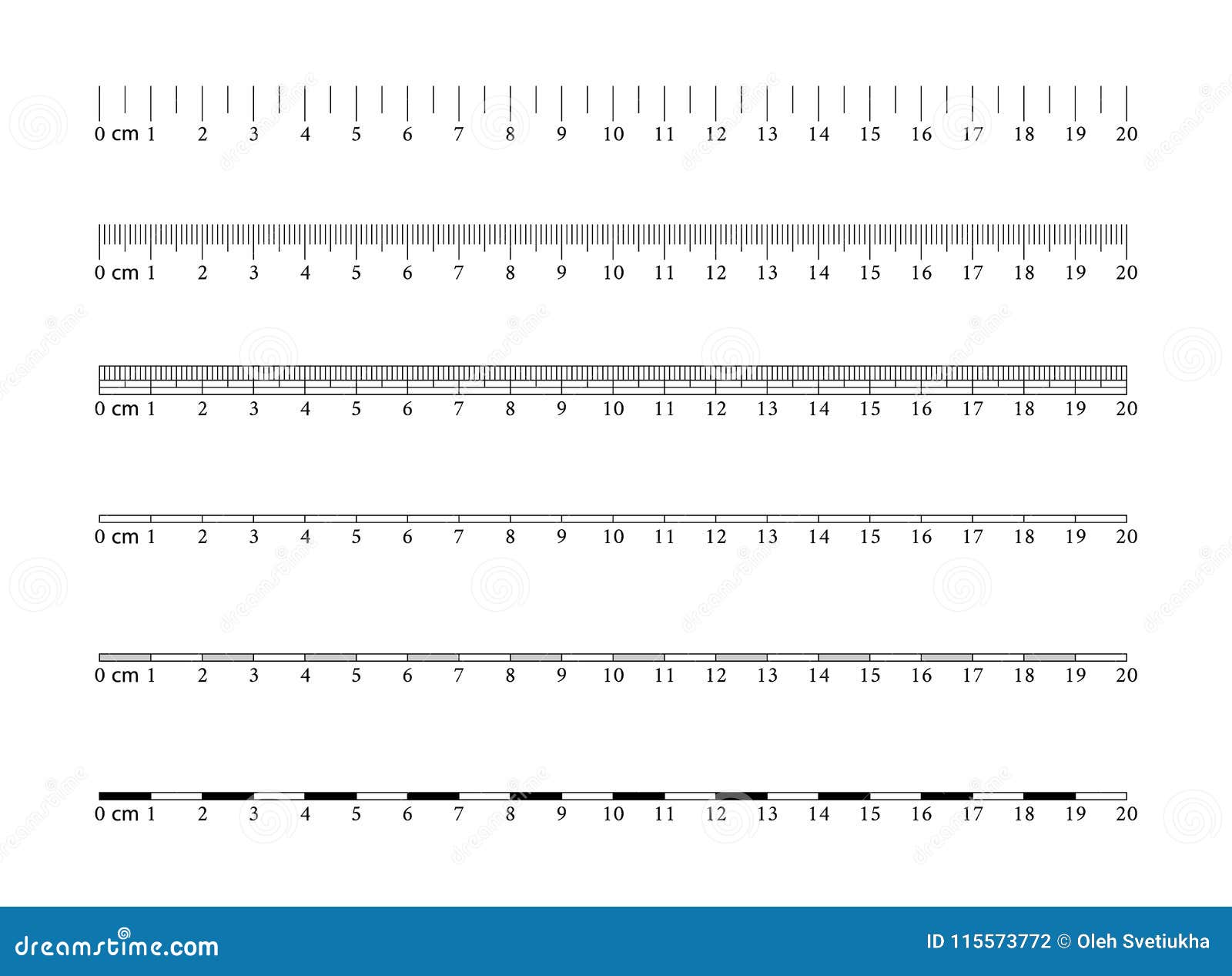 Measuring rulers school ruler metric scale Vector Image