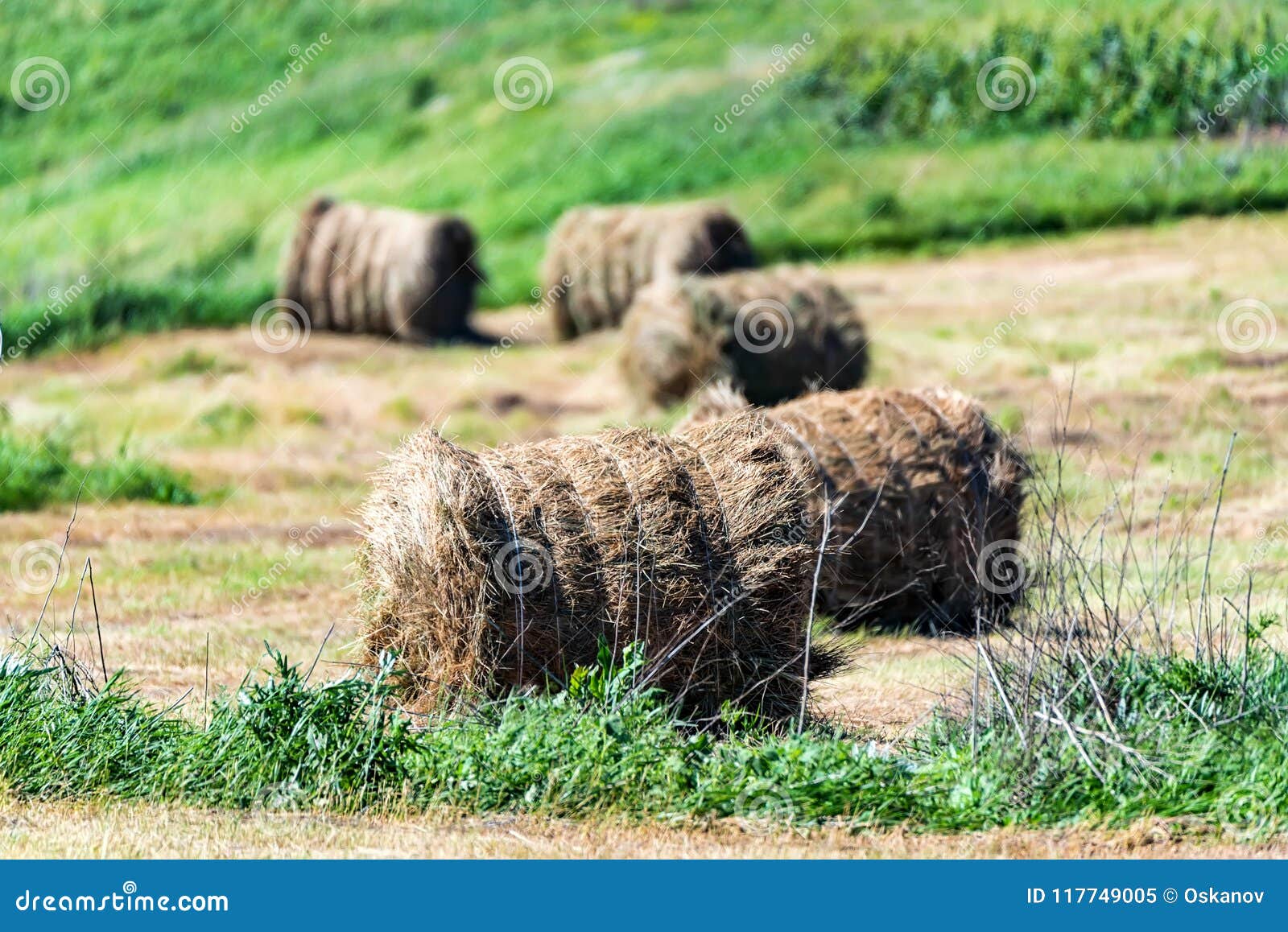 Meules De Foin Sur Le Champ