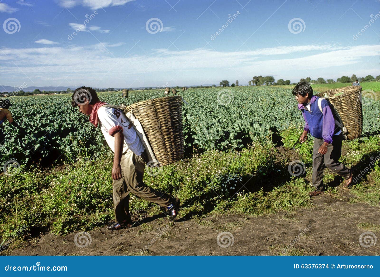 Mexicaanse landbouwers redactionele stock afbeelding. Image of boeren ...