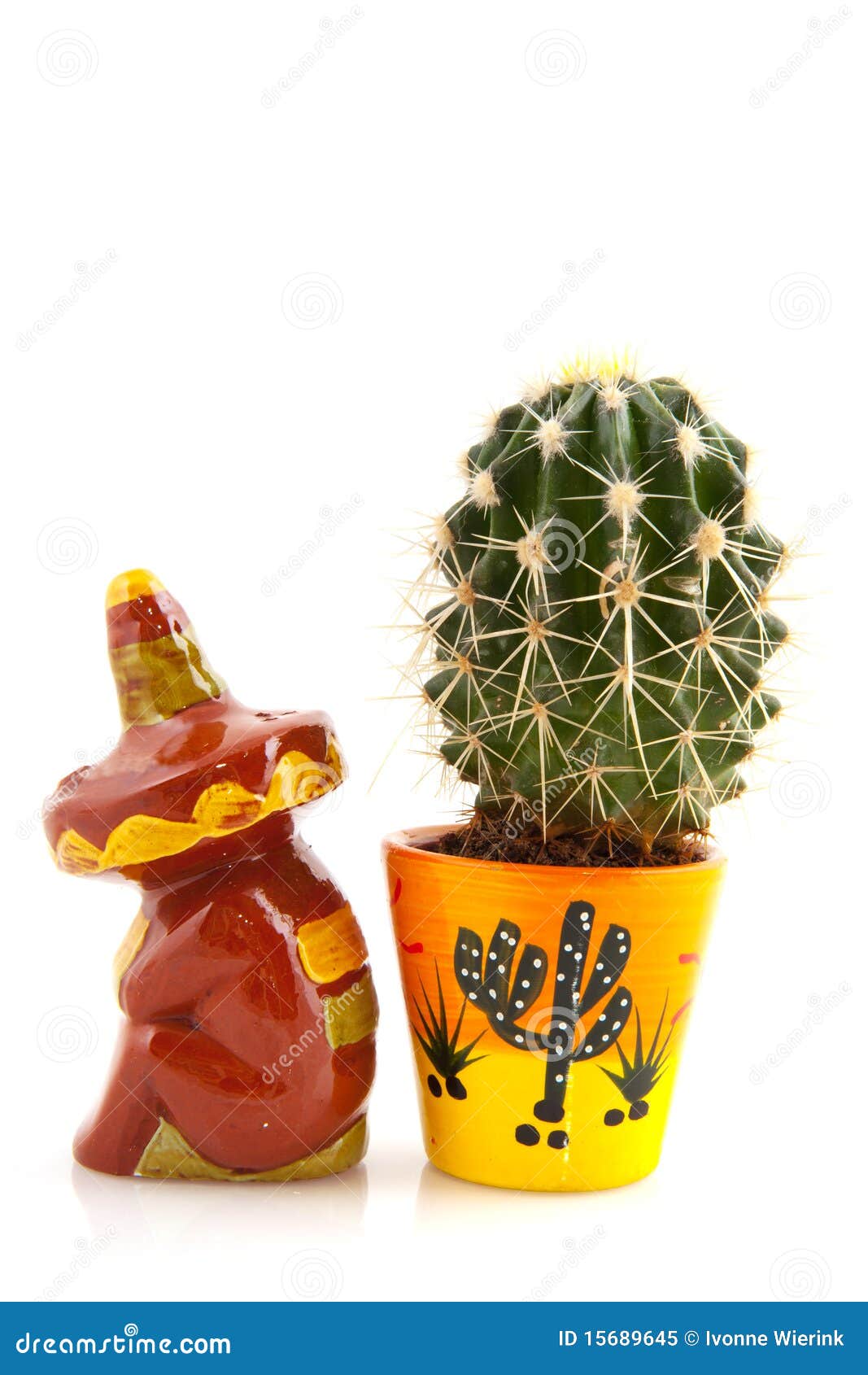 Mexican cactus stock image. Image of prickly, cactus 15689645