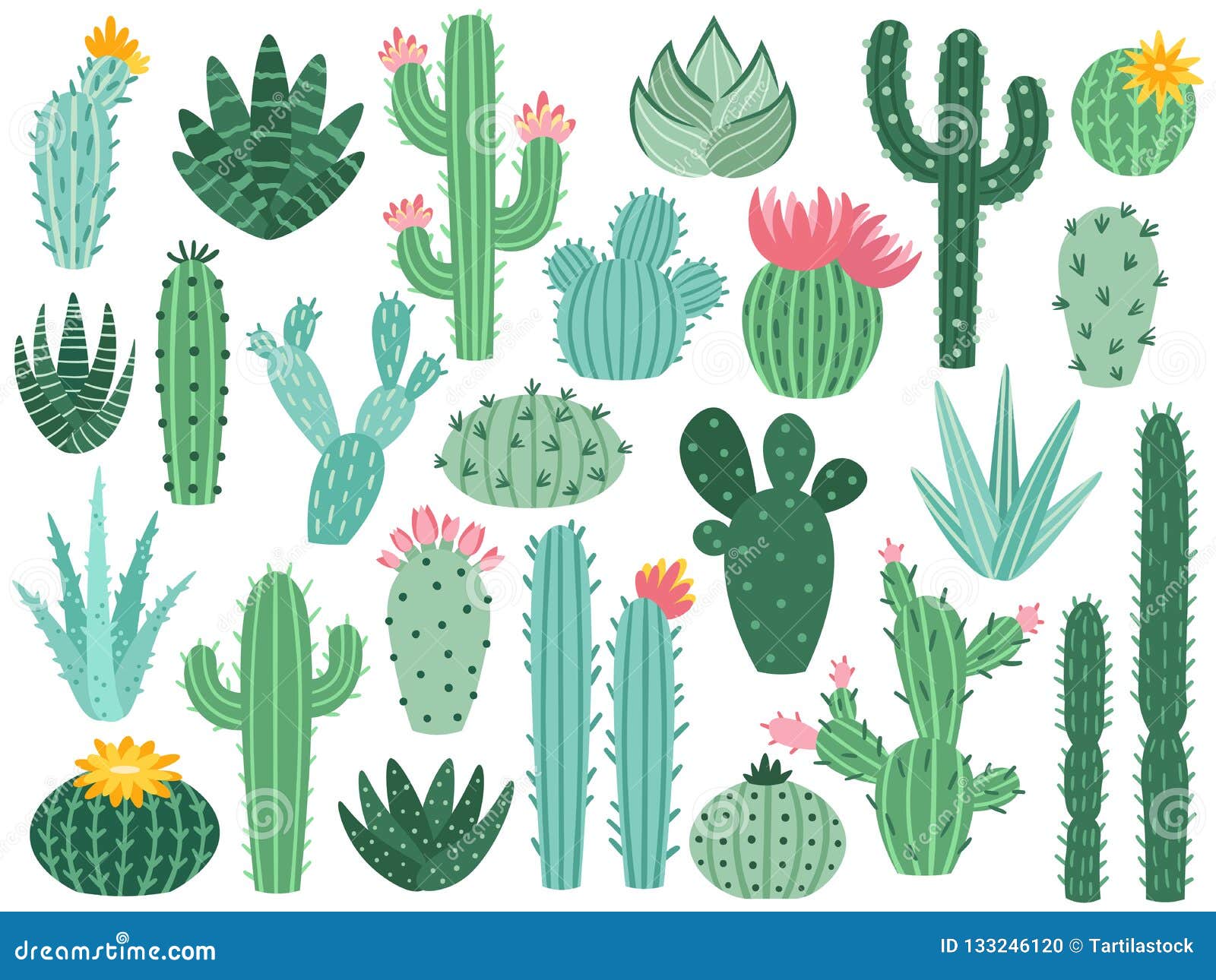 Cactaceae Free content Public domain, Cactus, leaf, hand png