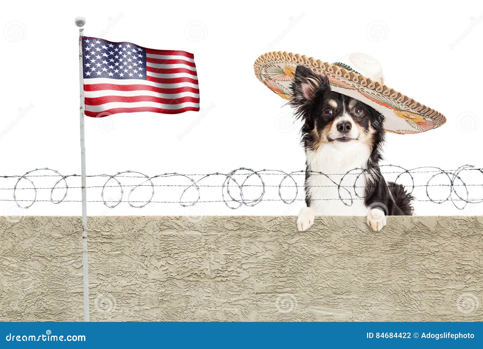 can you cross the mexican border with a dog