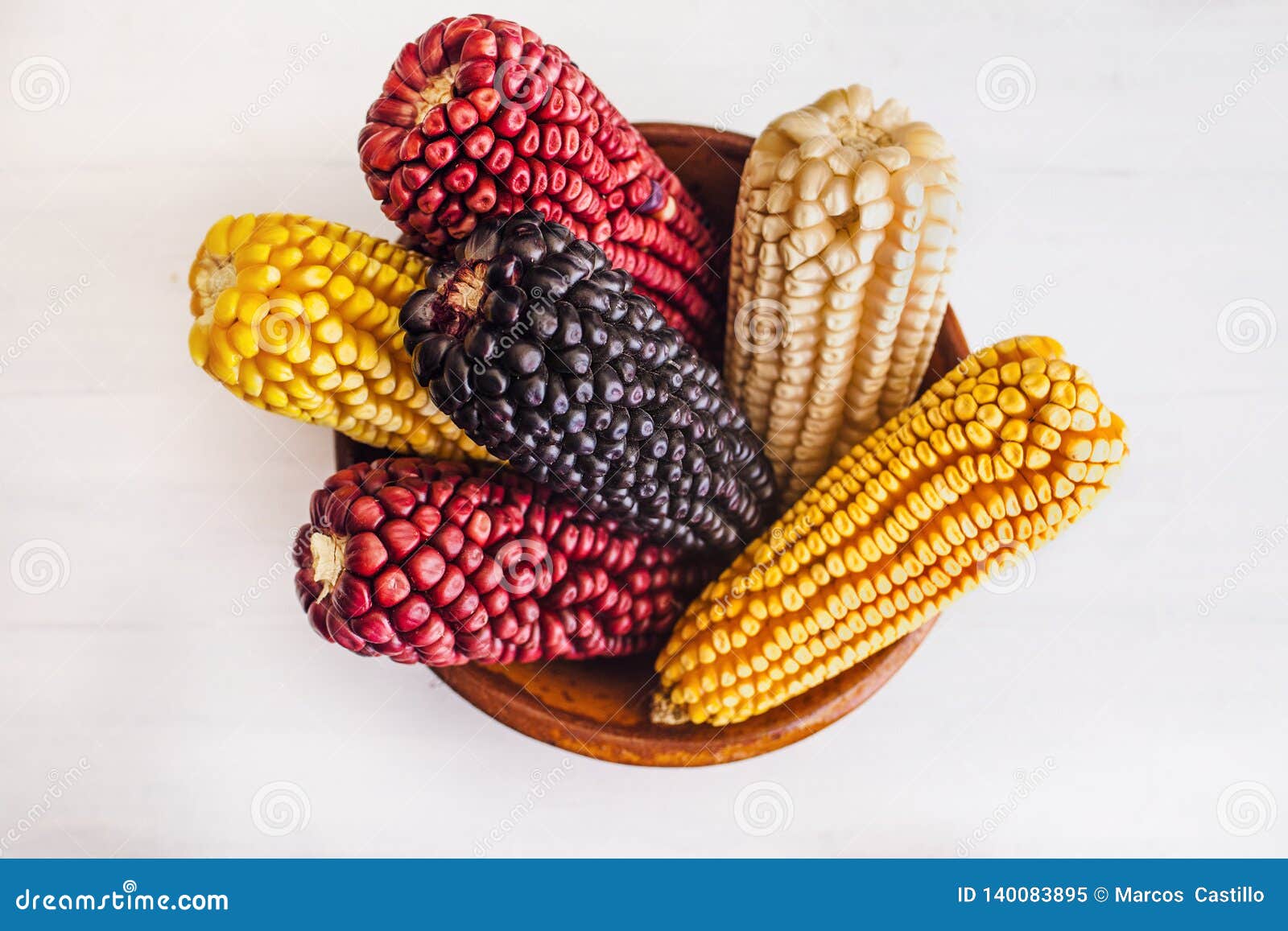 Mexican Corn Crop in Different Colors in Mexico Stock Image Image of