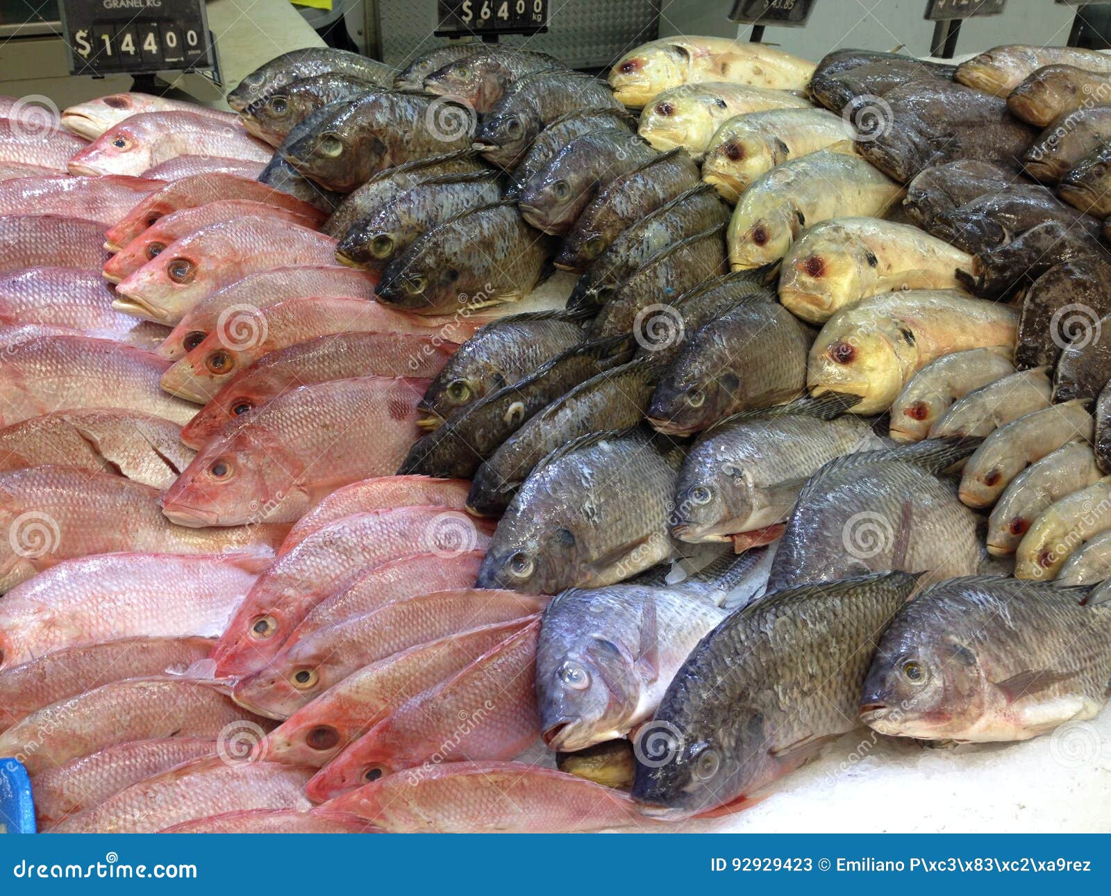 mexican fish market.