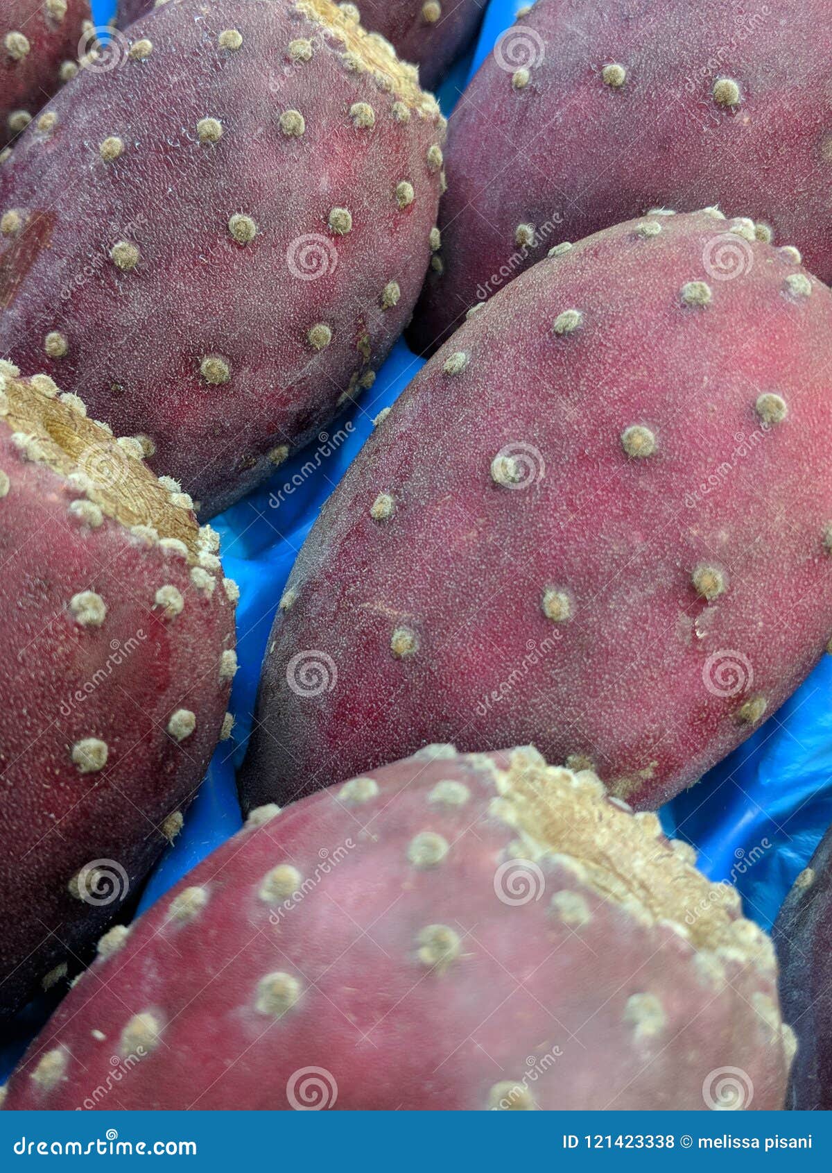 Exotic cactus fruit stock photo. Image of mexican, cactus 121423338