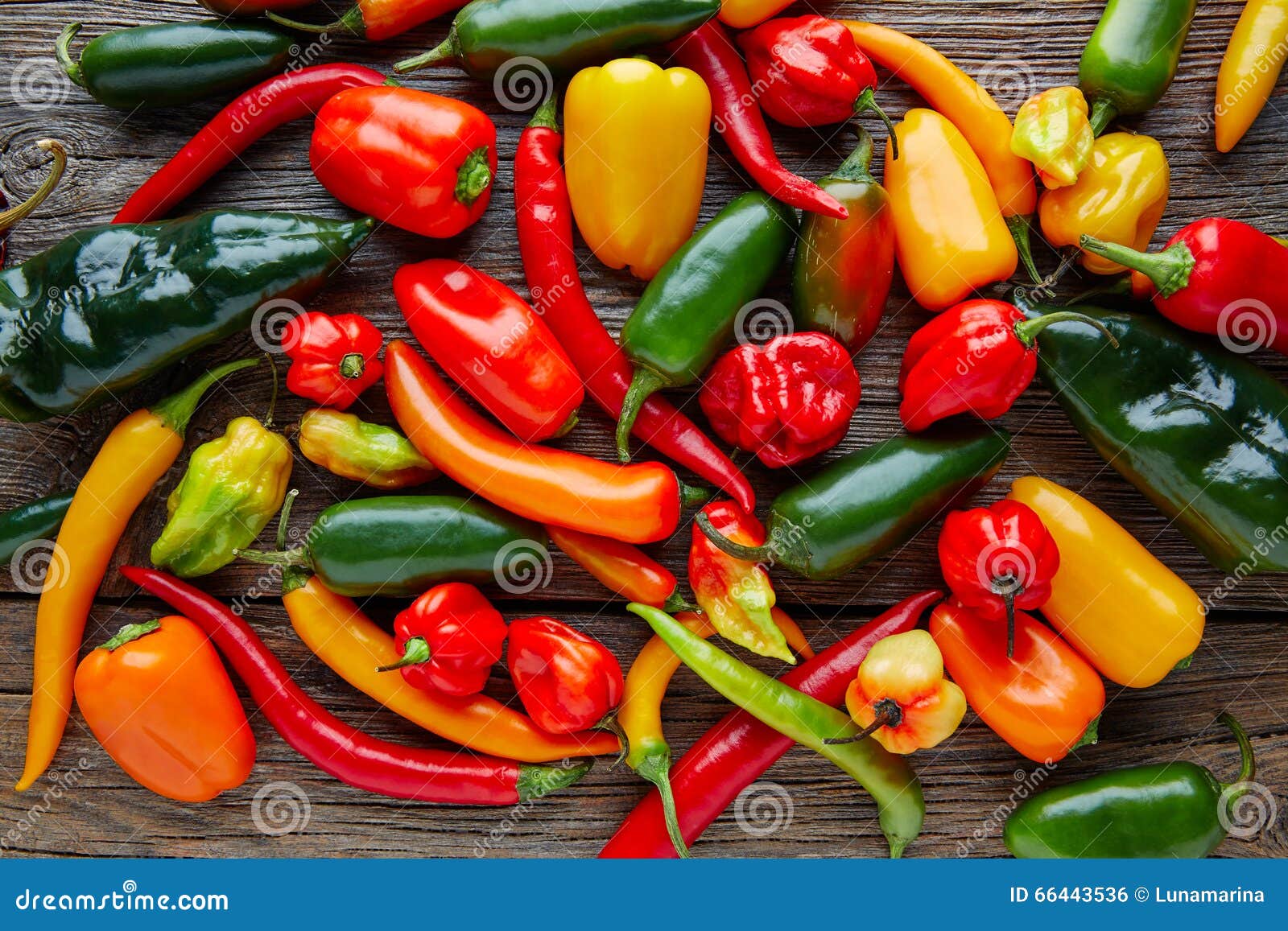 mexican hot chili peppers colorful mix