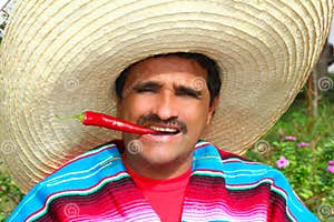 Sombrero Stock Image CartoonDealer 43775017
