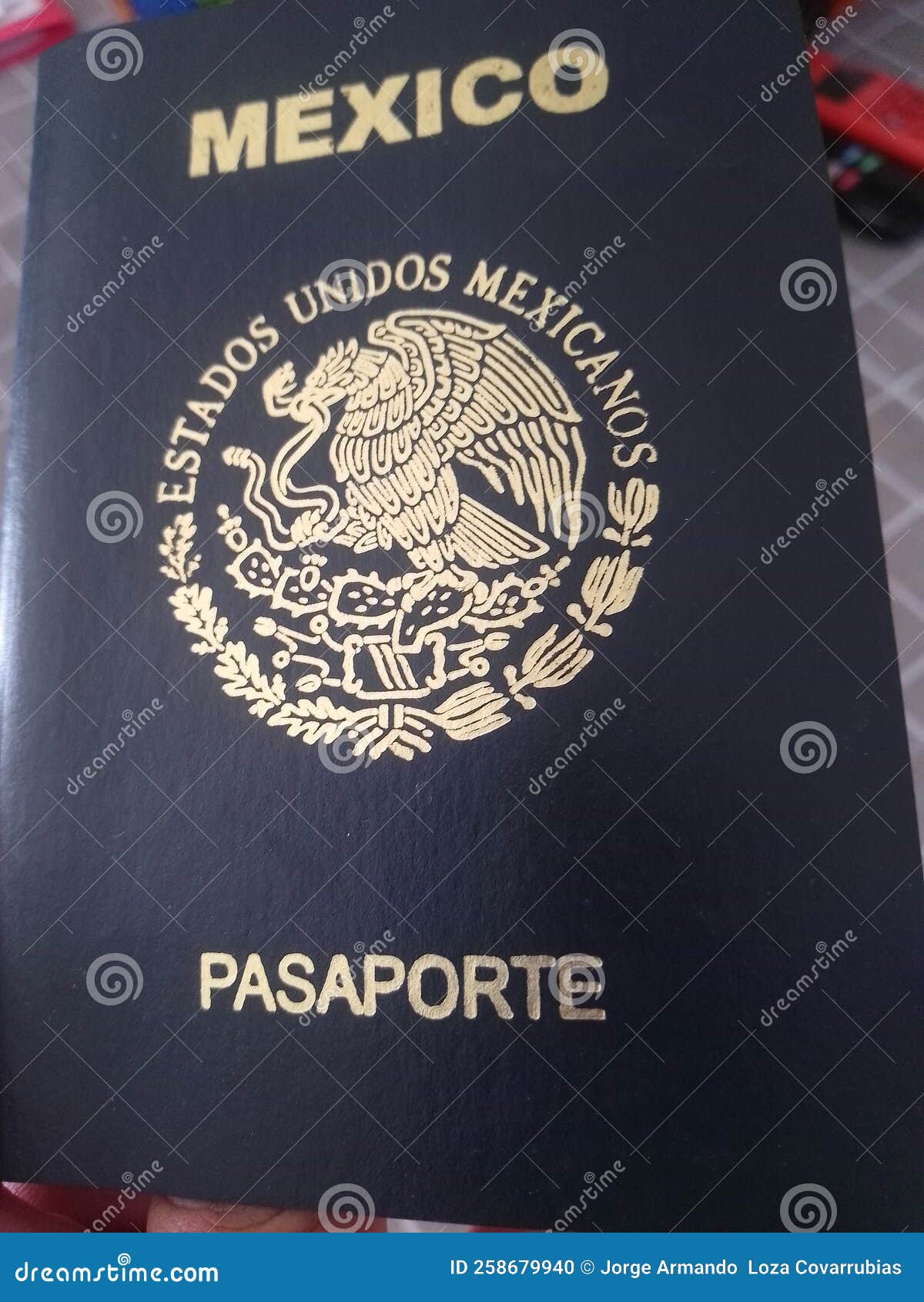 What Are the Requirements for a Mexican Passport?