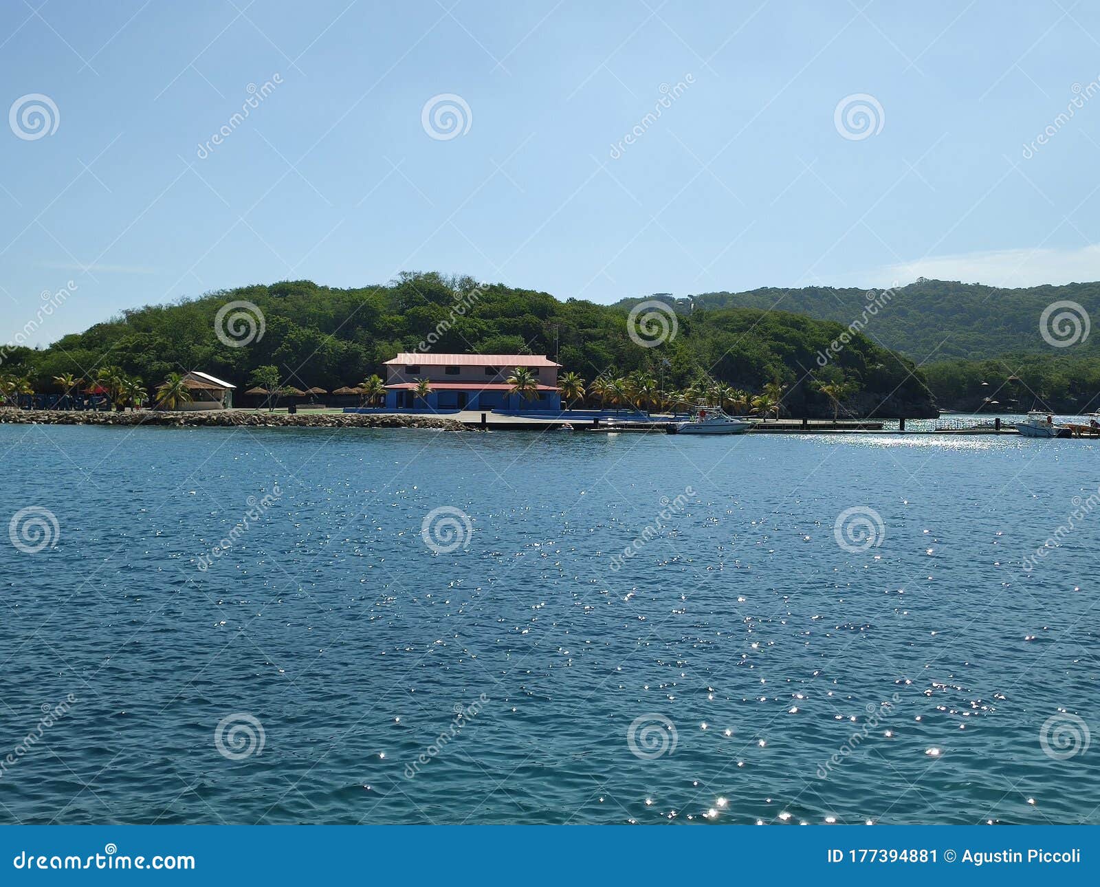 mexico, beach, sea, ocean, water, trees, freedom