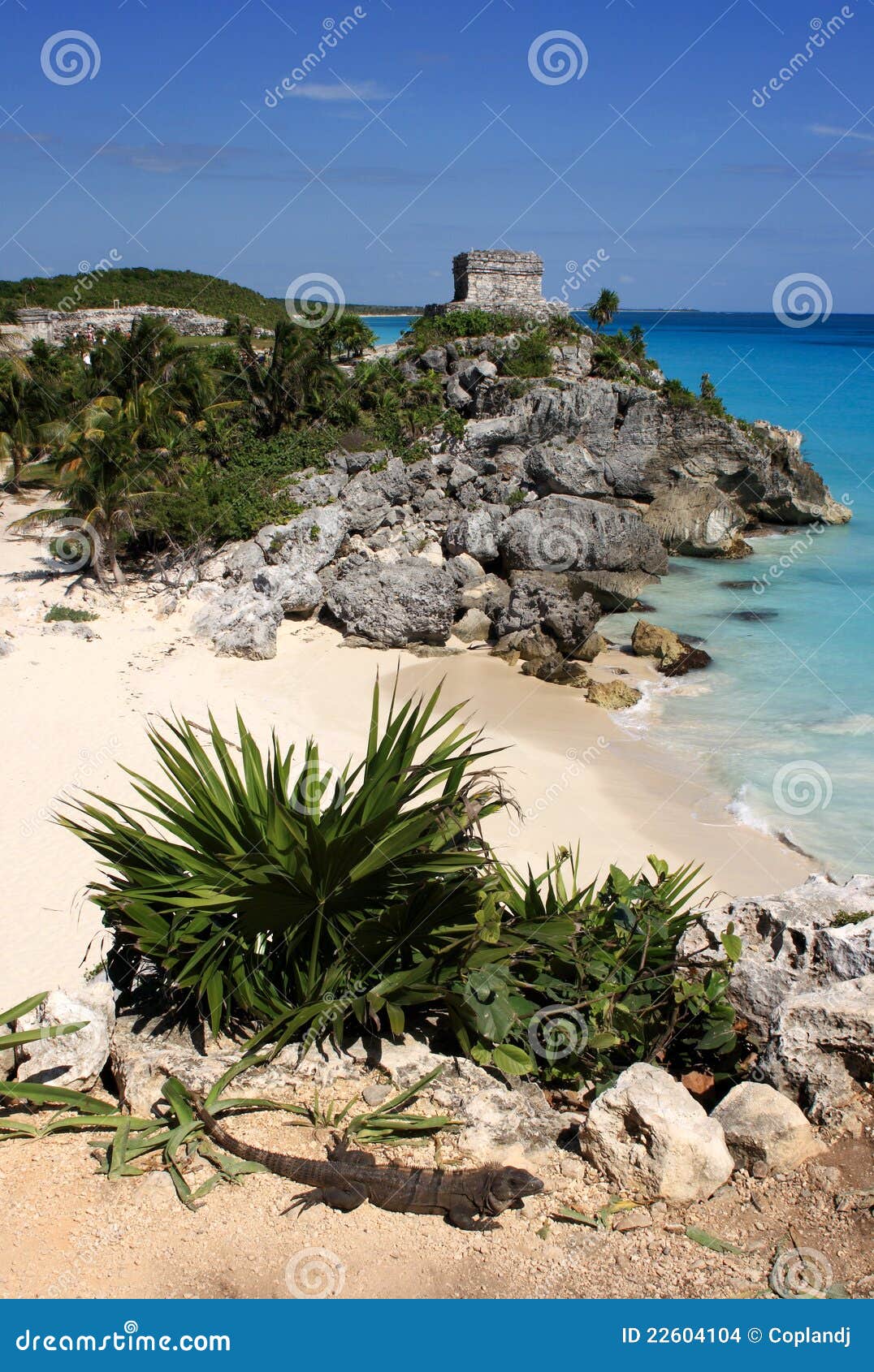 mexico quintana roo tulum mayan ruins