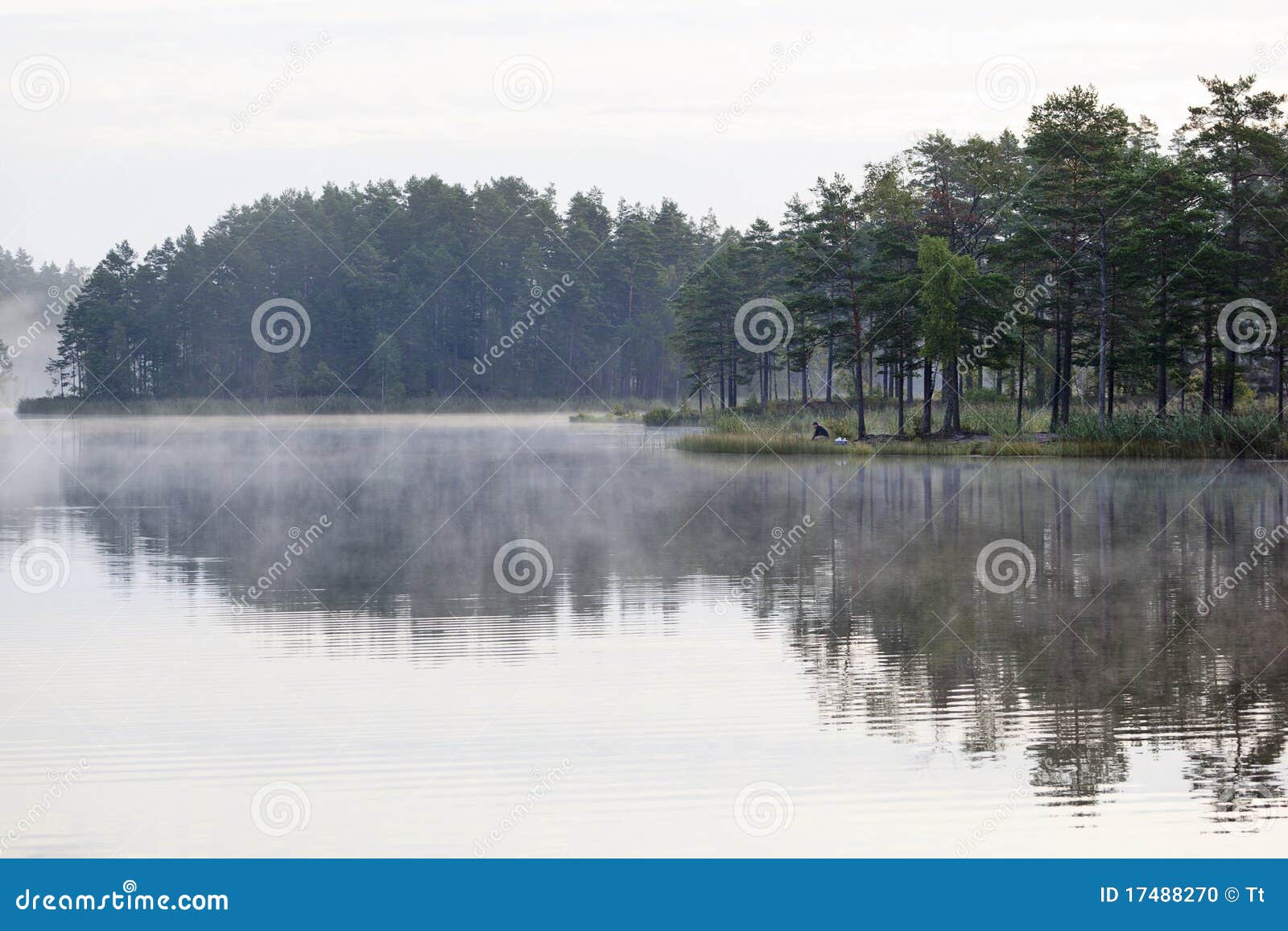 Mgła ranek. Mgły jeziora ranek