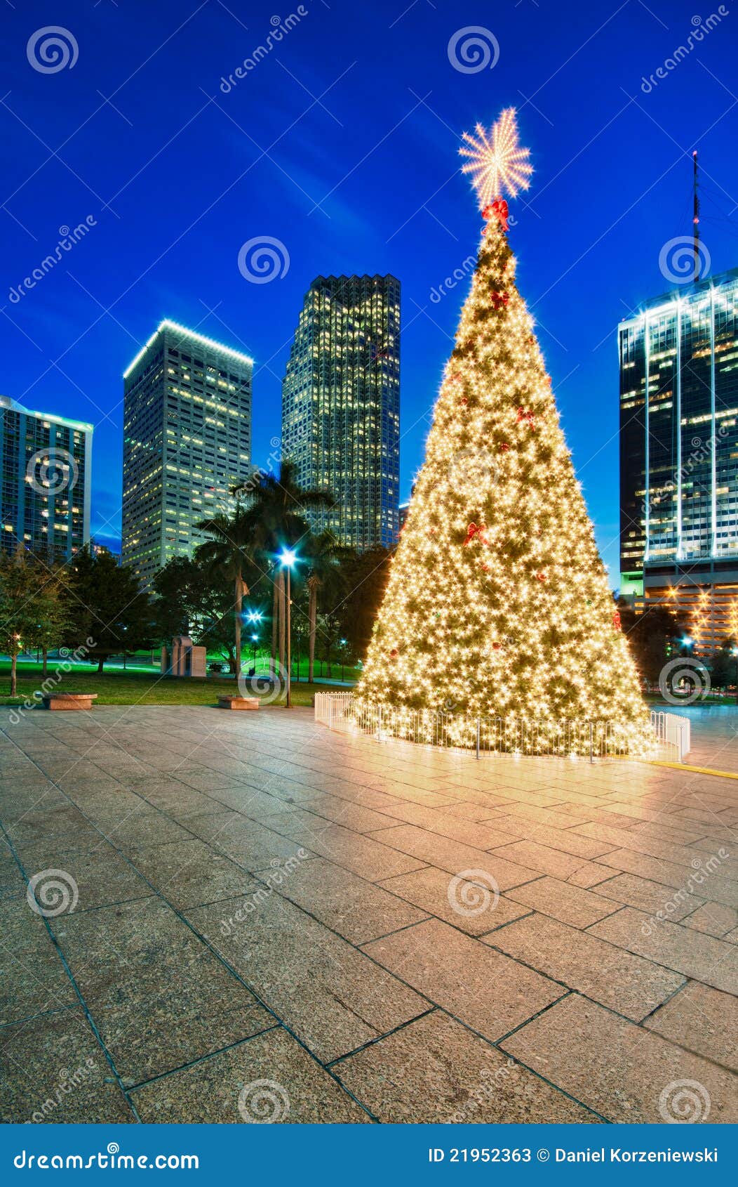 Natale Miami.Miami Christmas Tree Stock Image Image Of Downtown States 21952363